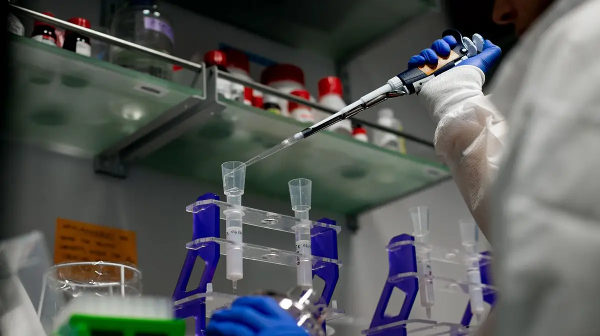 Investigação do cancro é crucial para atingir melhores resultados, defendem os especialistas
