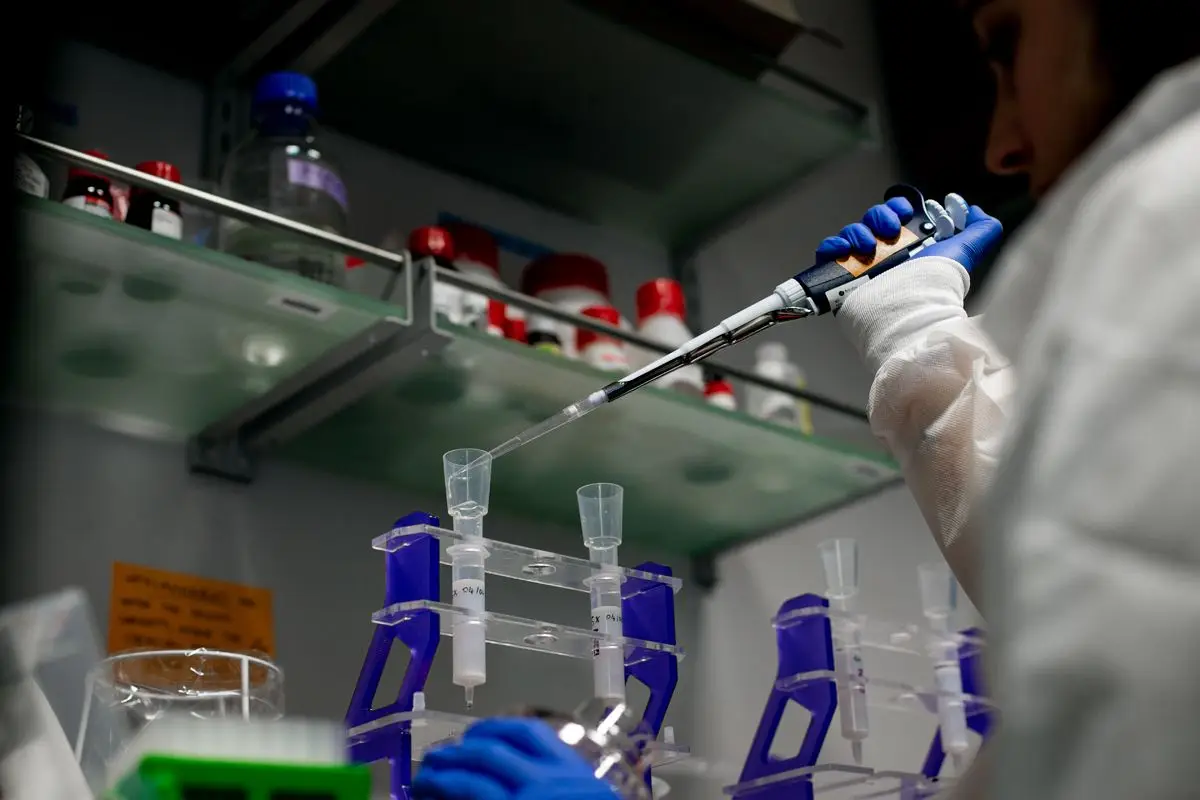 Investigação do cancro é crucial para atingir melhores resultados em oncologia