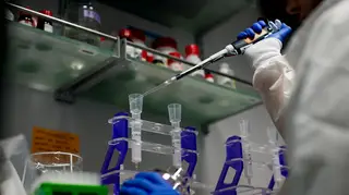 Investigadores em oncologia pediátrica apostam nas leucemias agudas e tumores cerebrais