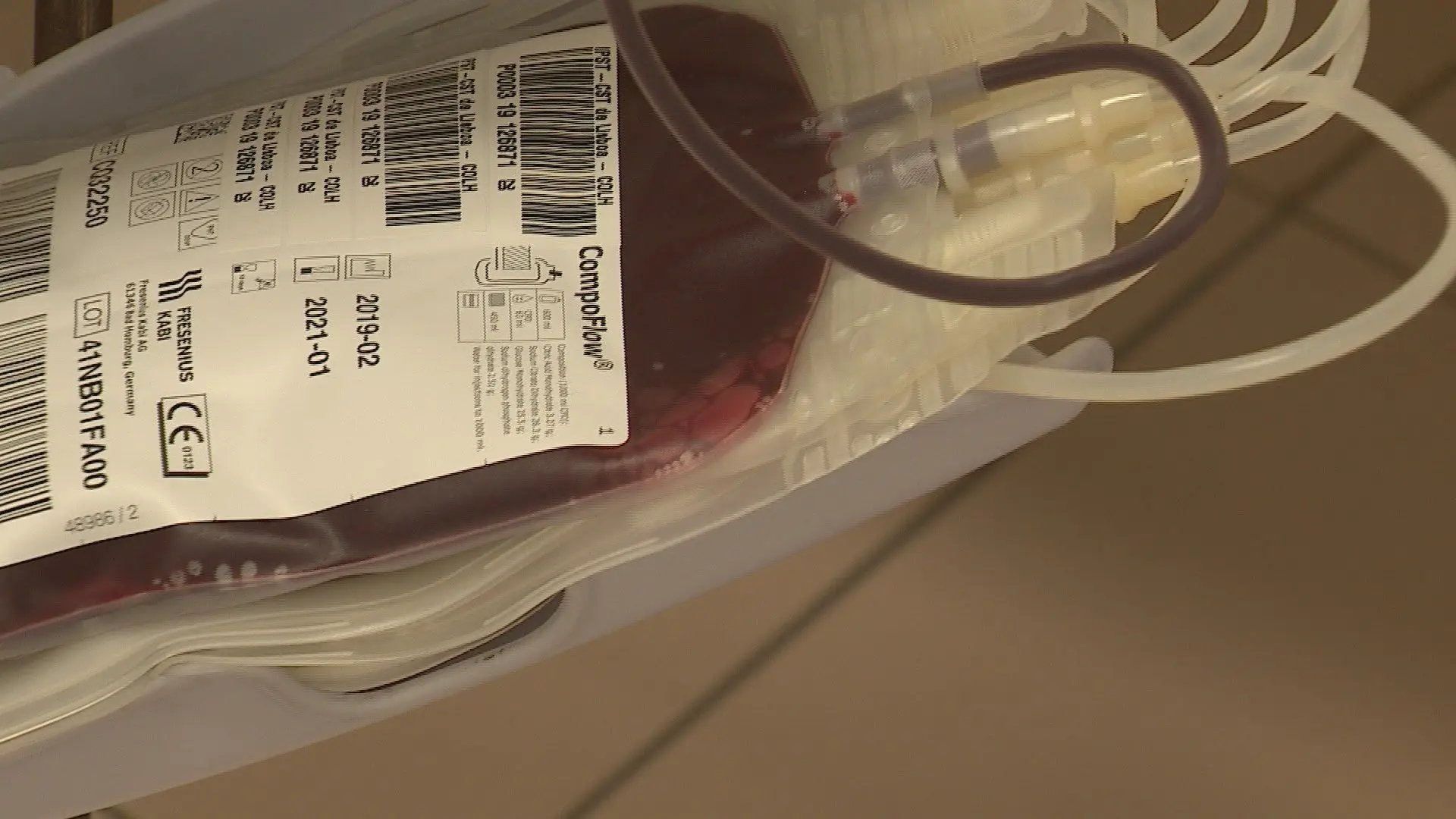 Instituto Português do Sangue alerta para forte redução de dadores