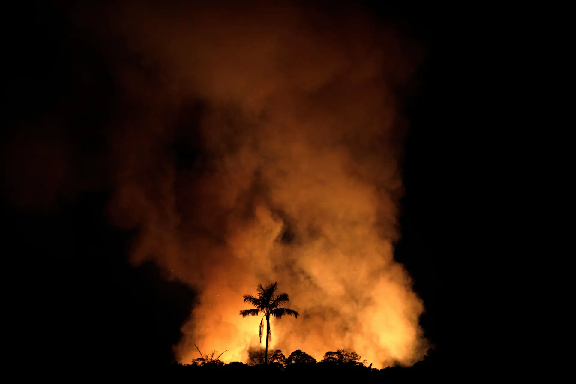 Setembro começa com quase mil focos de incêndio deflagrados na Amazónia