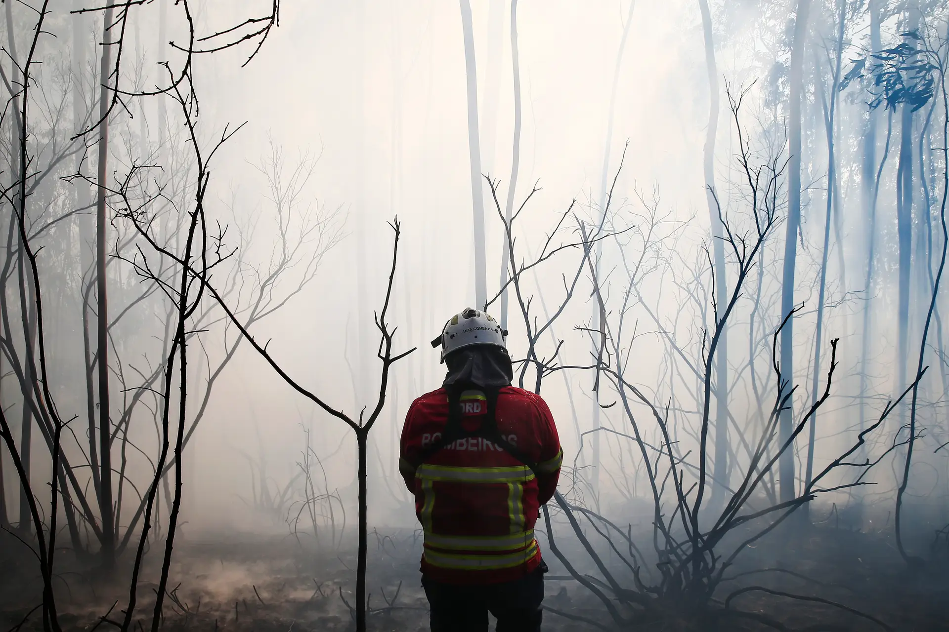 Homem de 76 anos detido por atear fogo florestal em Celorico de Basto