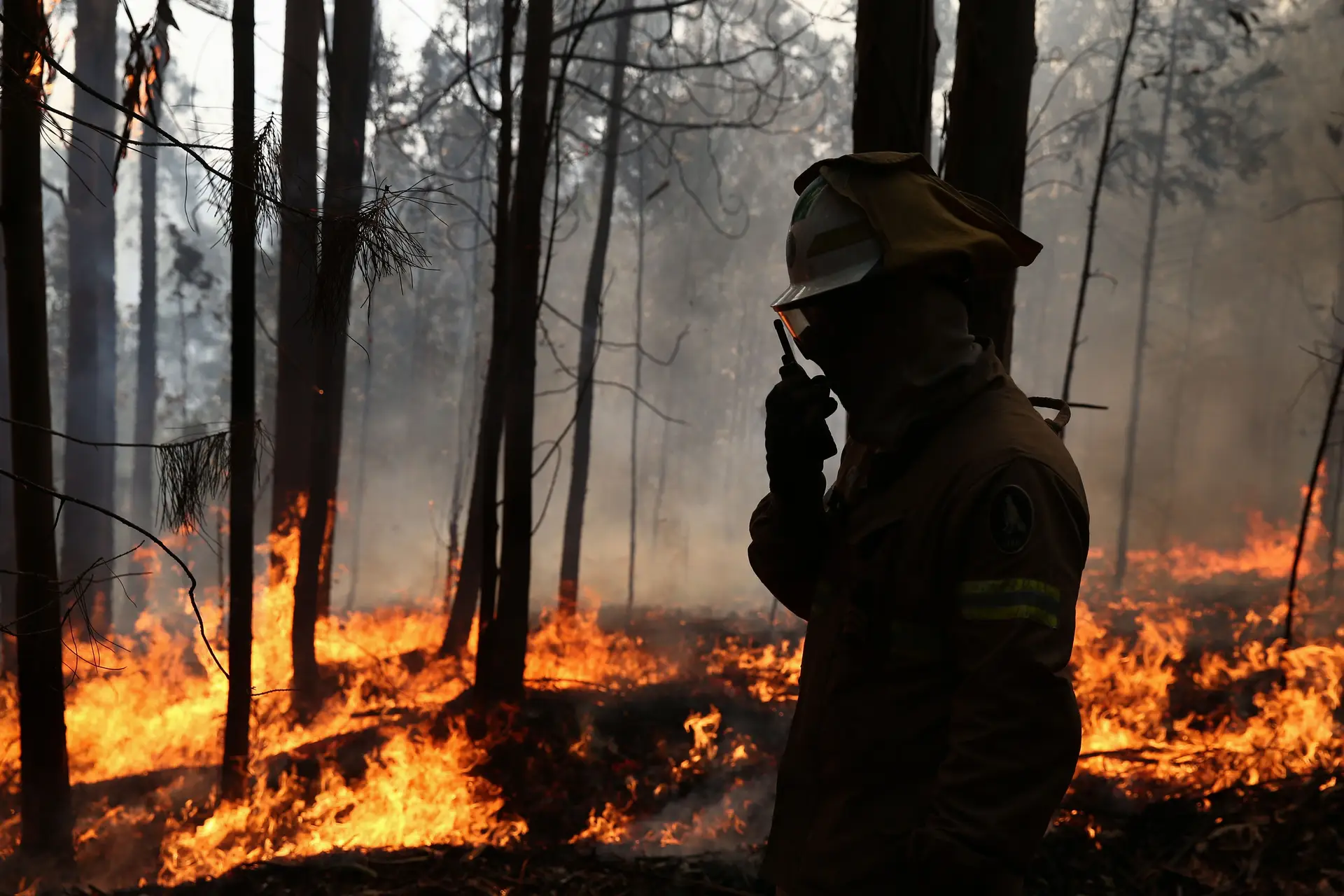 Bombeiros estagiários pela primeira vez no combate ao fogo sem exame final do curso