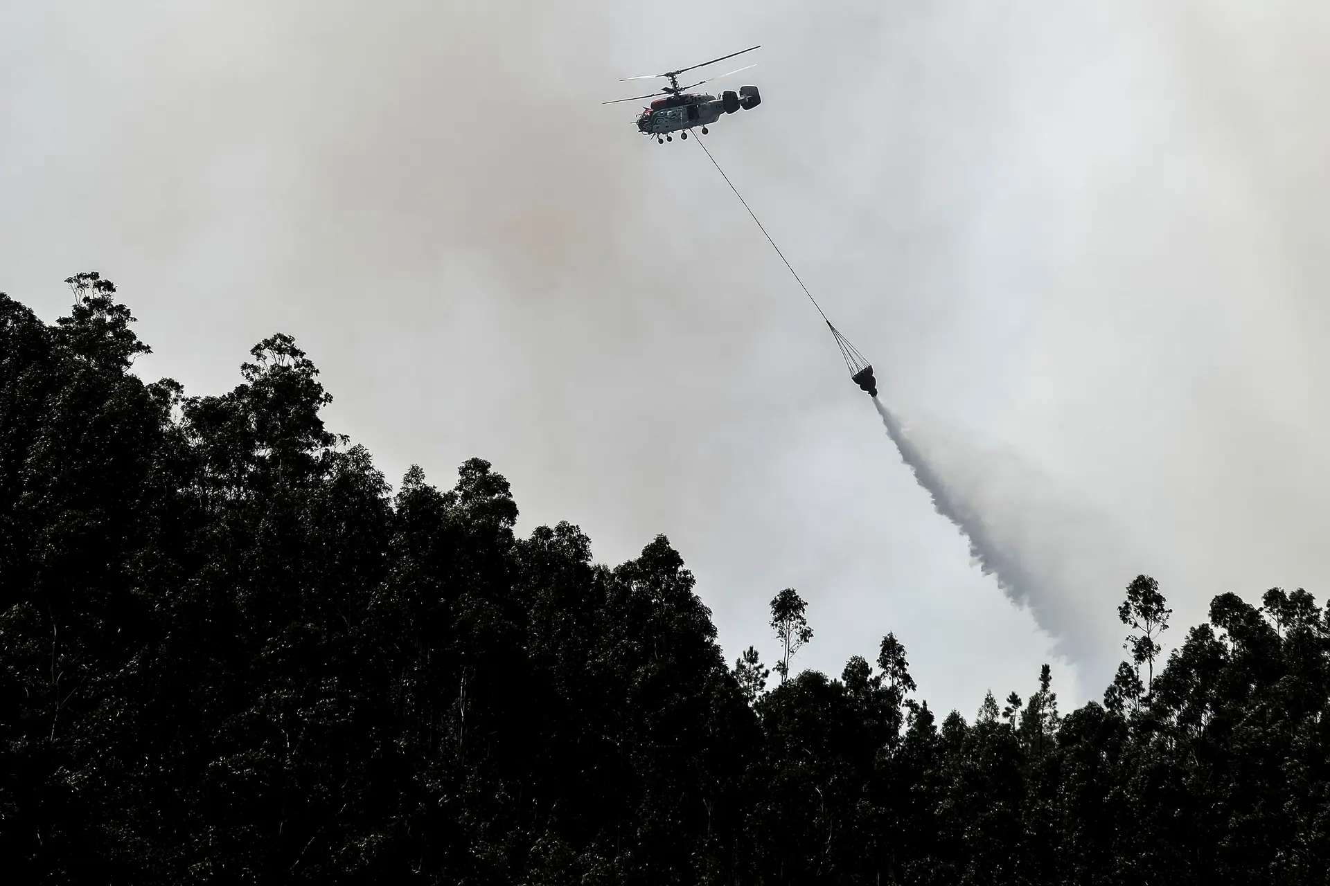 Fogo da Vacariça, na Mealhada, entrou em fase de resolução