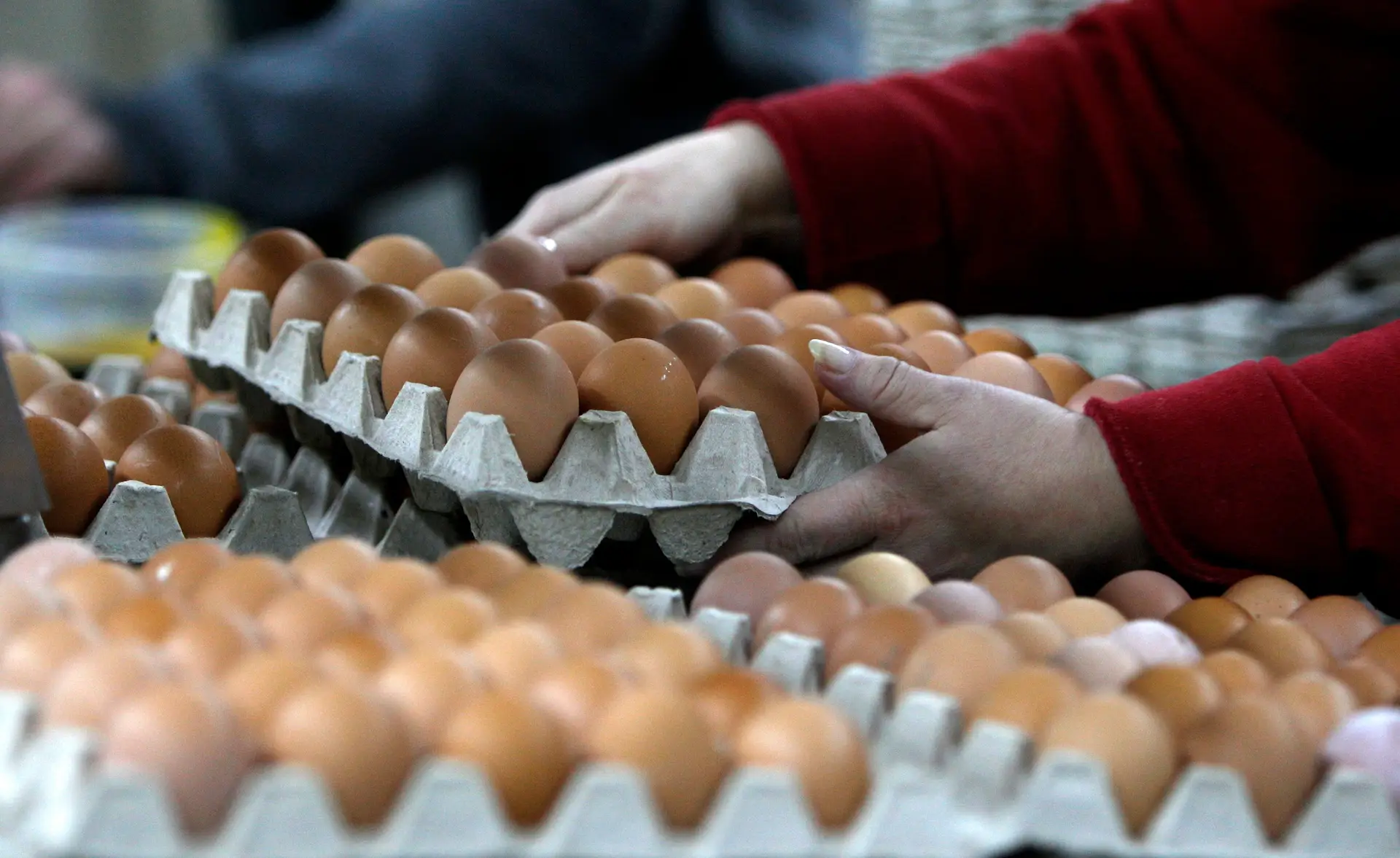 População venezuelana boicota compra de ovos para fazer baixar os preços
