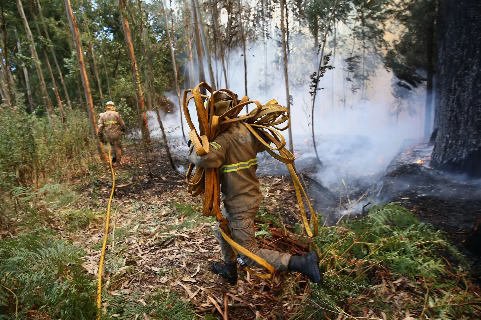 Meios de combate aos incêndios reforçados a partir de hoje