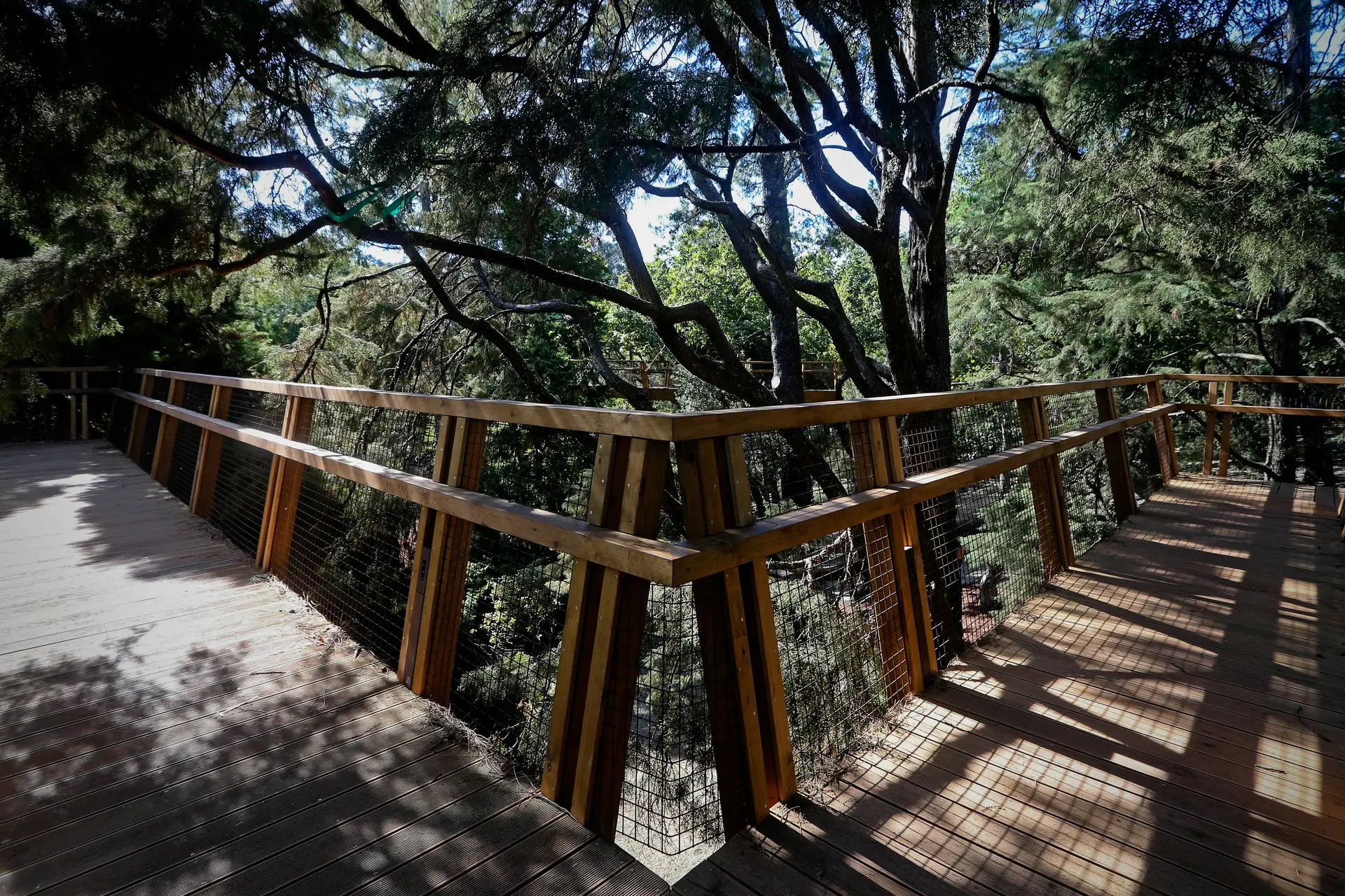 A Treetop Walk do parque de Serralves abre a 14 de Setembro, dia em que a entrada é gratuita para todos os visitantes.