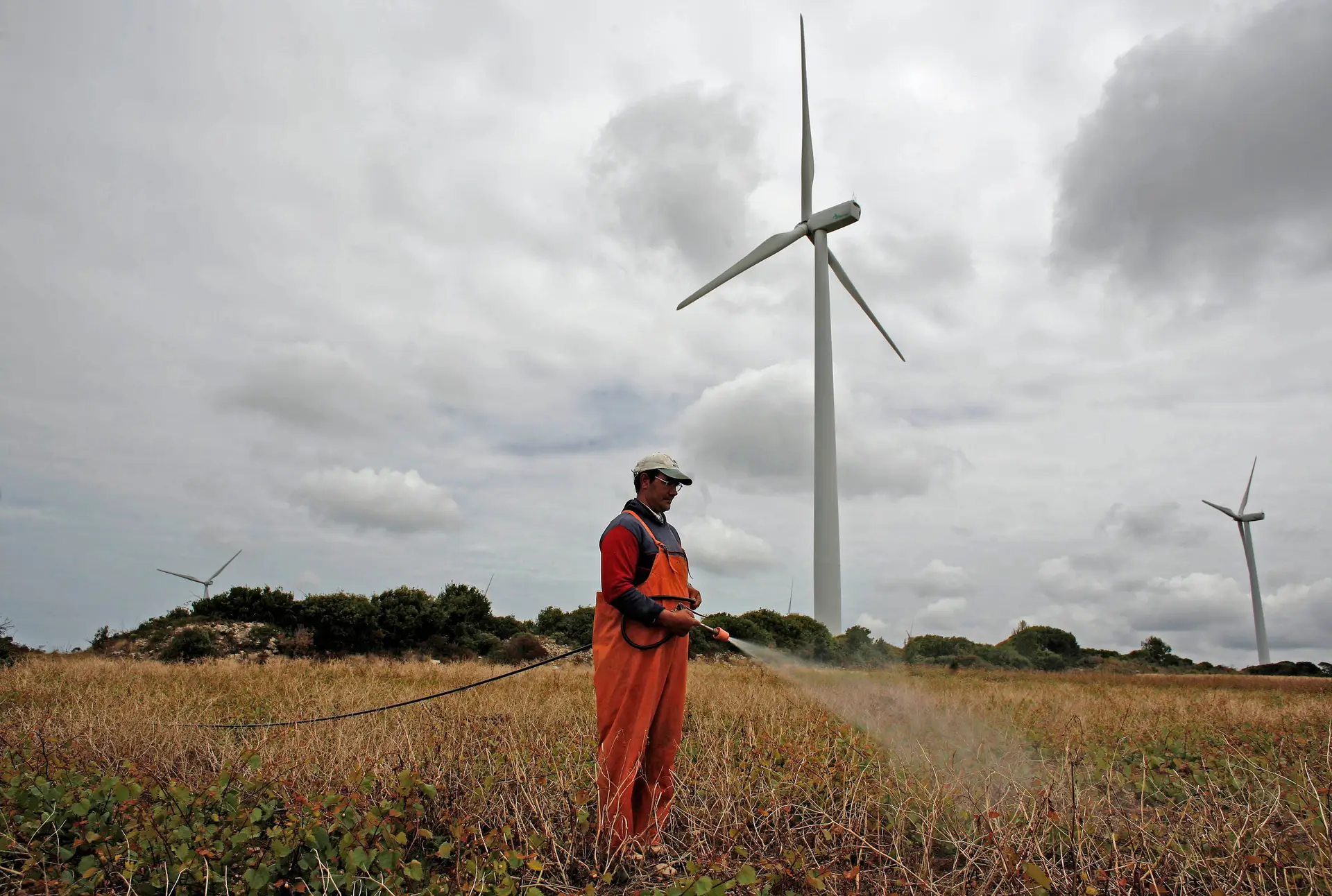 Portugal é o 26.º país mais sustentável do mundo