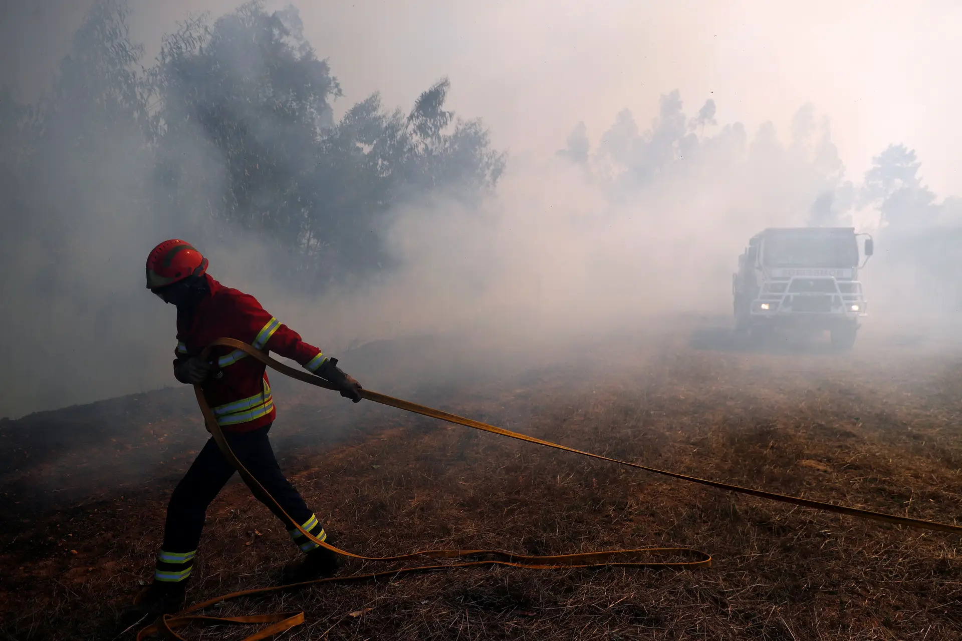 Incêndio no Algarve tem duas frentes e autoridades esperam dominá-lo de madrugada