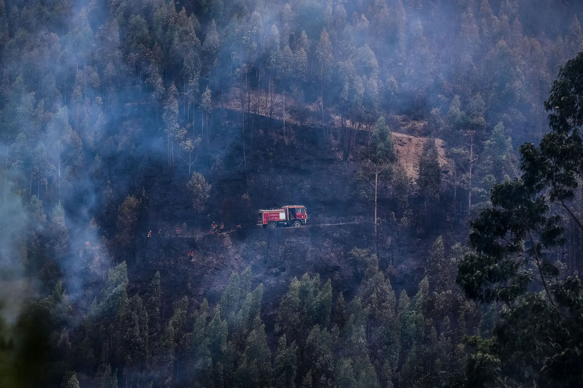 Associação de Vítimas de Pedrógão Grande diz que relatório confirma que nada mudou na floresta