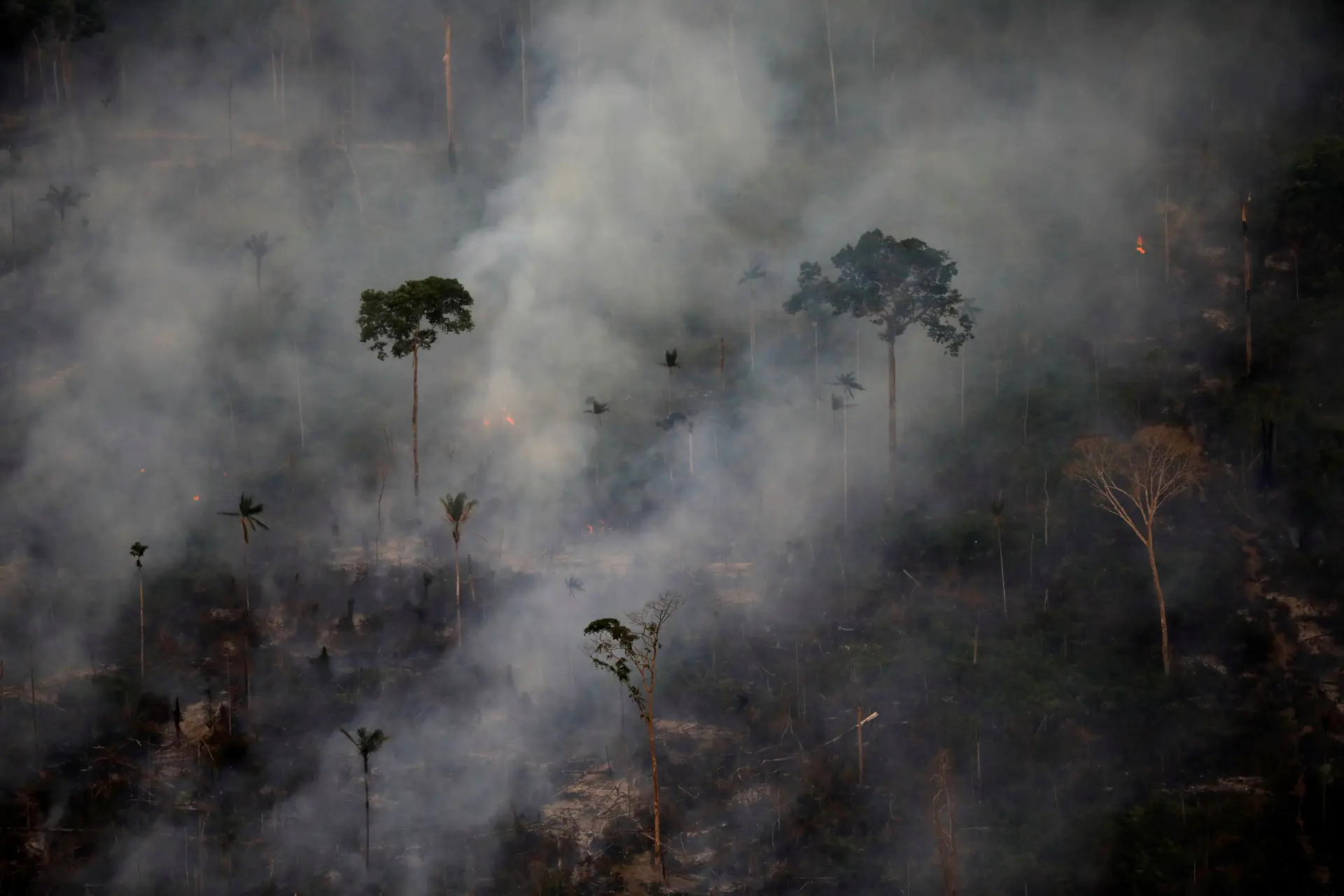 Santuário com relíquias portuguesas ameaçado por incêndio florestal no Brasil