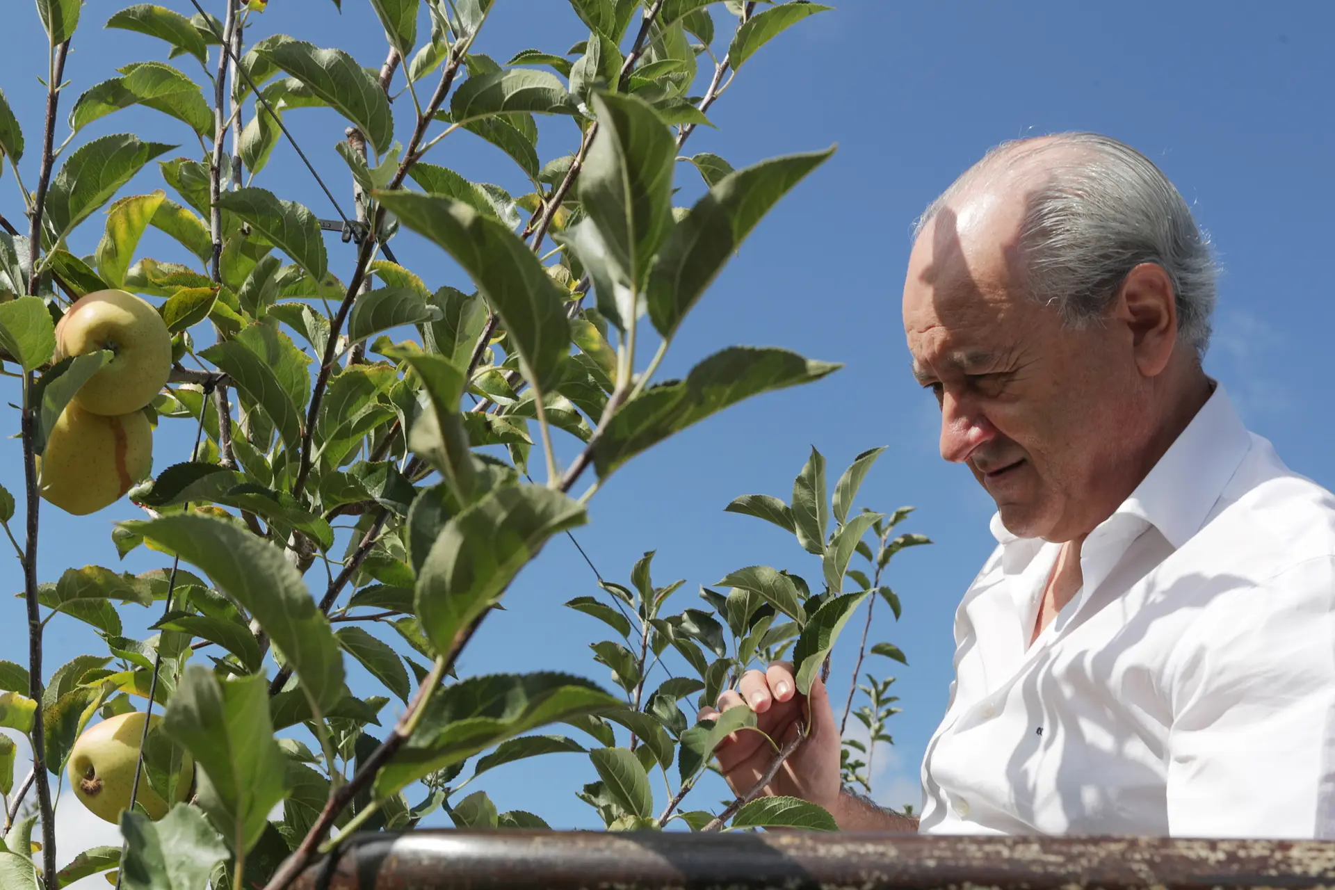 Rio anuncia Arlindo Cunha como ministro da Agricultura se formar Governo