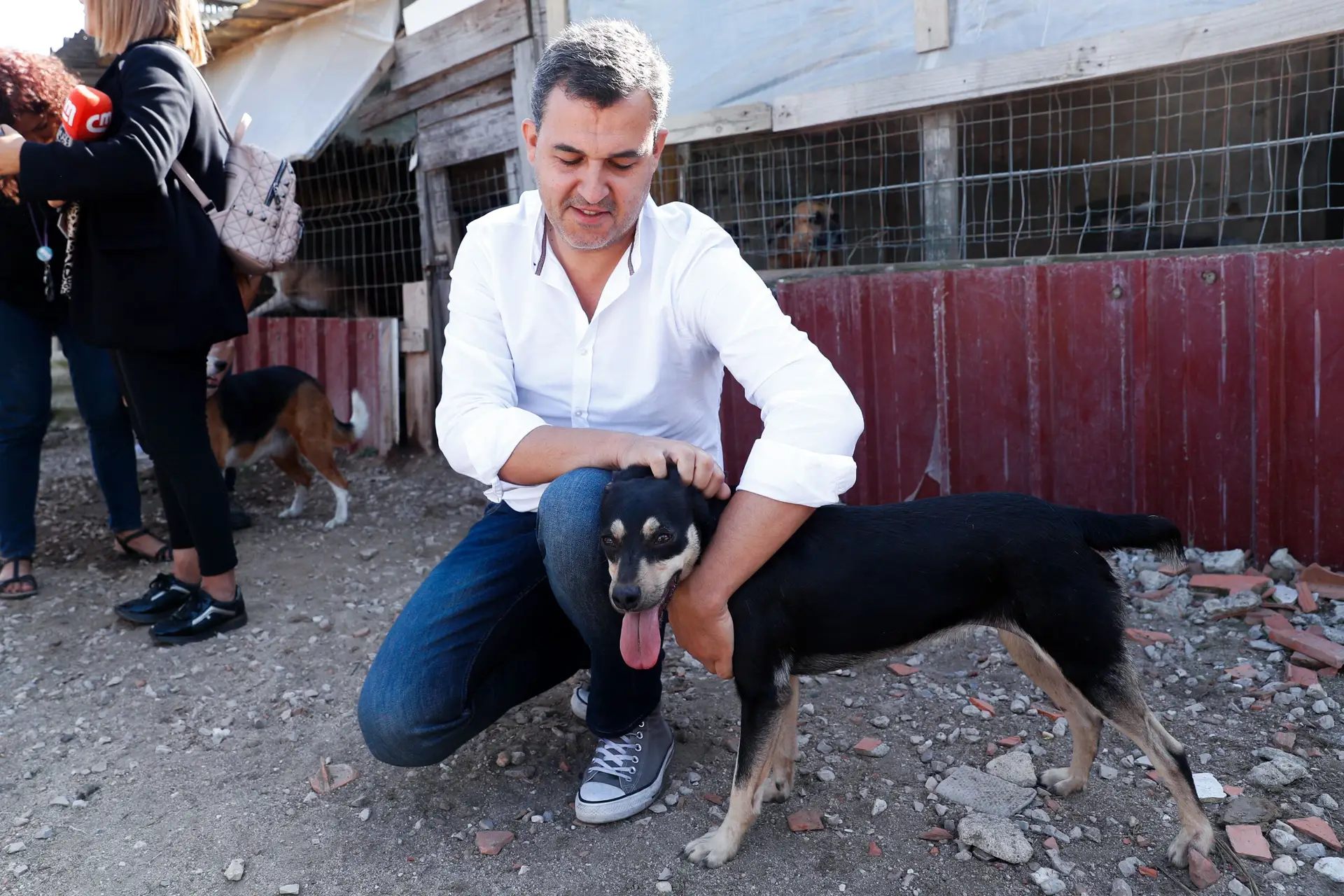 Frases do 12.º dia de campanha