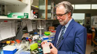 Prémio Nobel da Medicina: Investigação permite pensar em estratégias para bloquear células do cancro