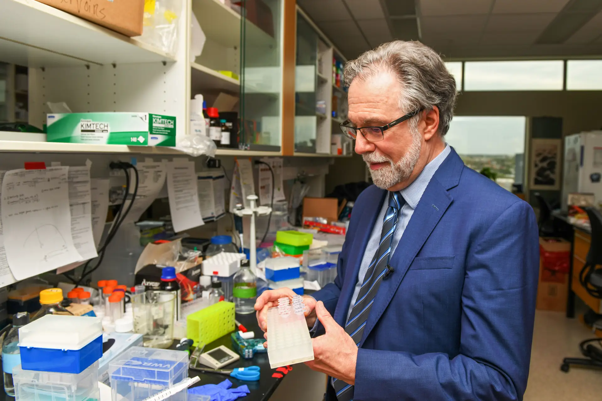 Prémio Nobel da Medicina: Investigação permite pensar em estratégias para bloquear células do cancro