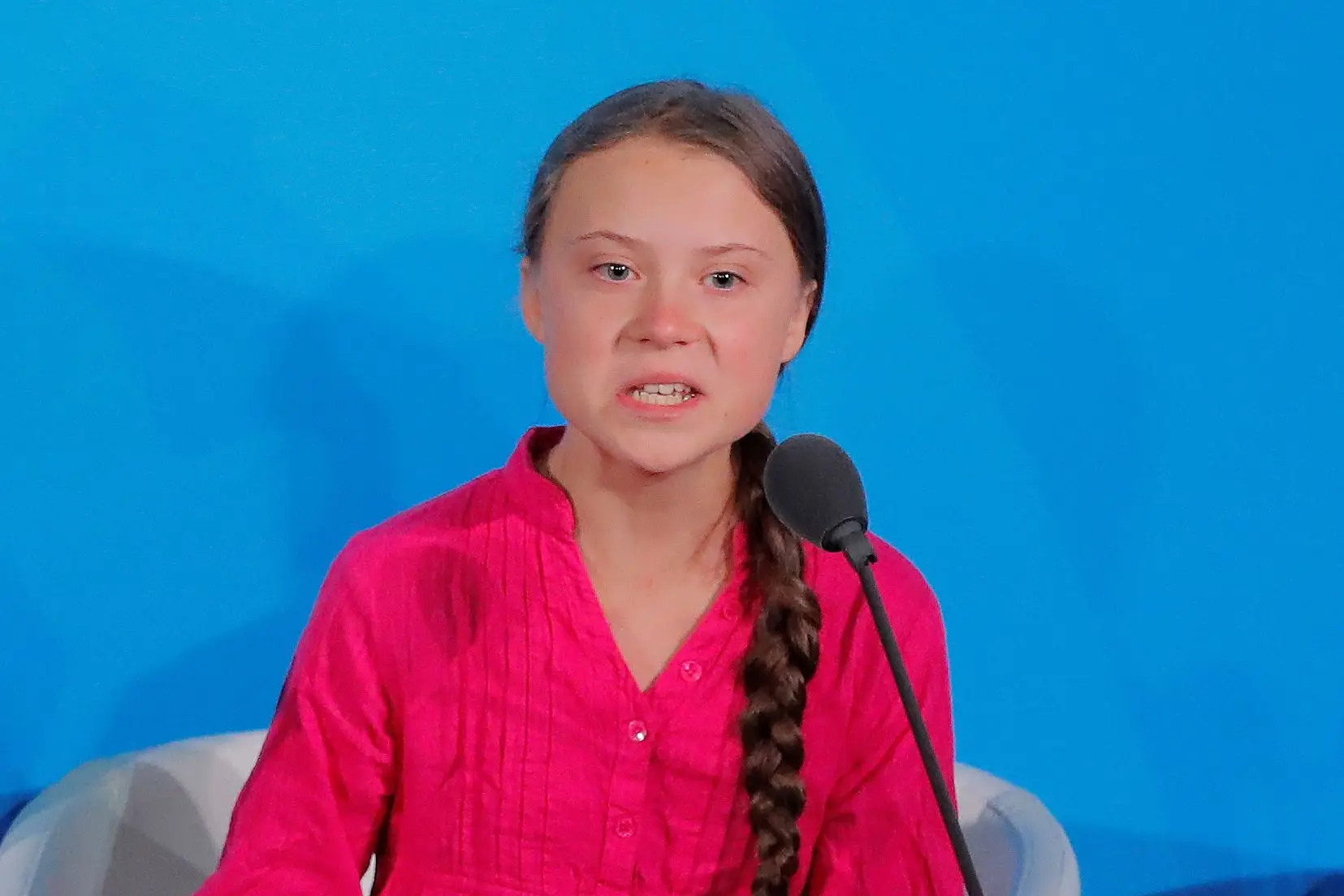 Greta Thunberg rejeita prémio ambiental porque "o movimento climático não precisa de mais prémios"