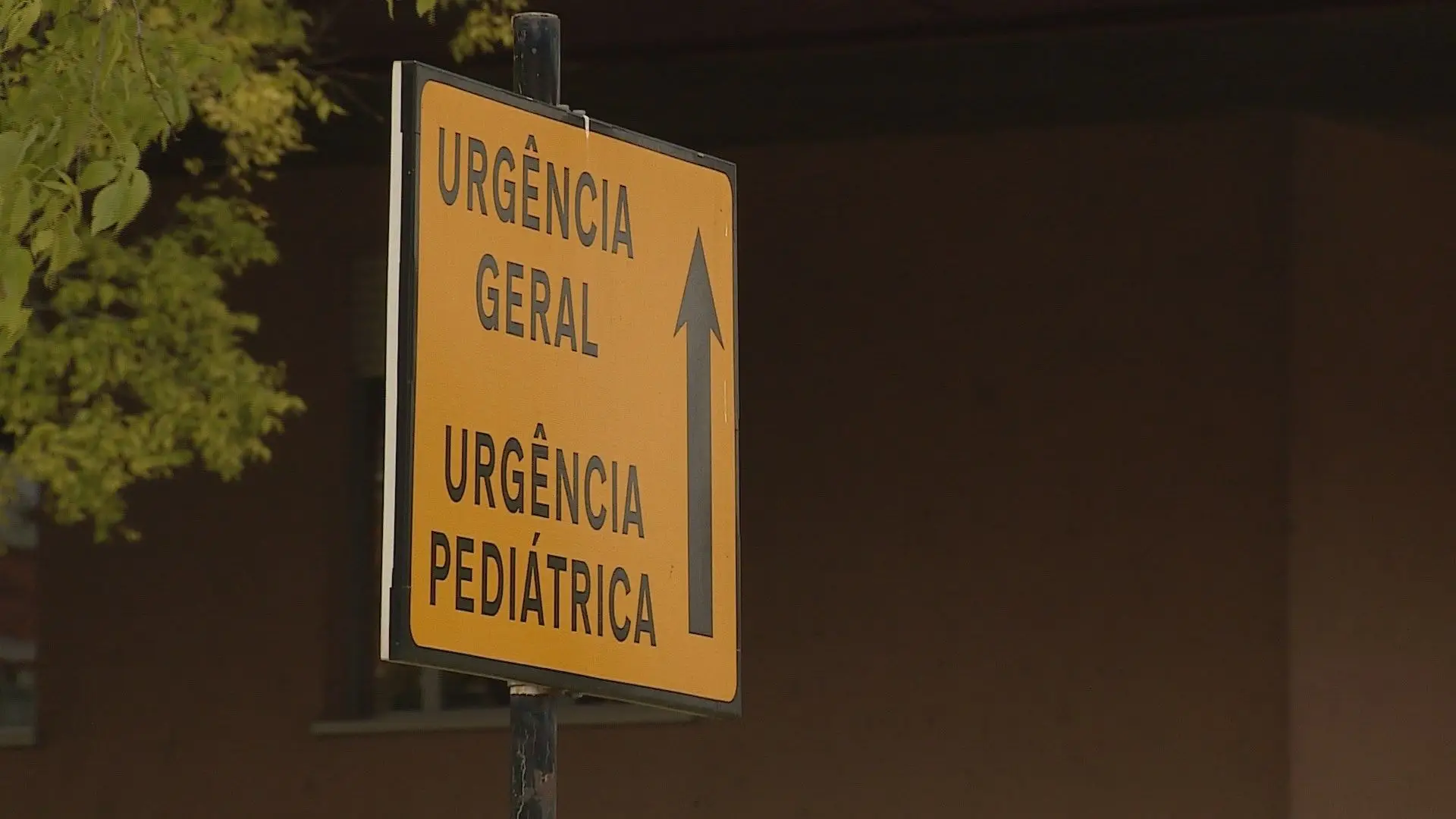 Garcia de Orta diz que urgência pediátrica pode normalizar "daqui a seis meses"