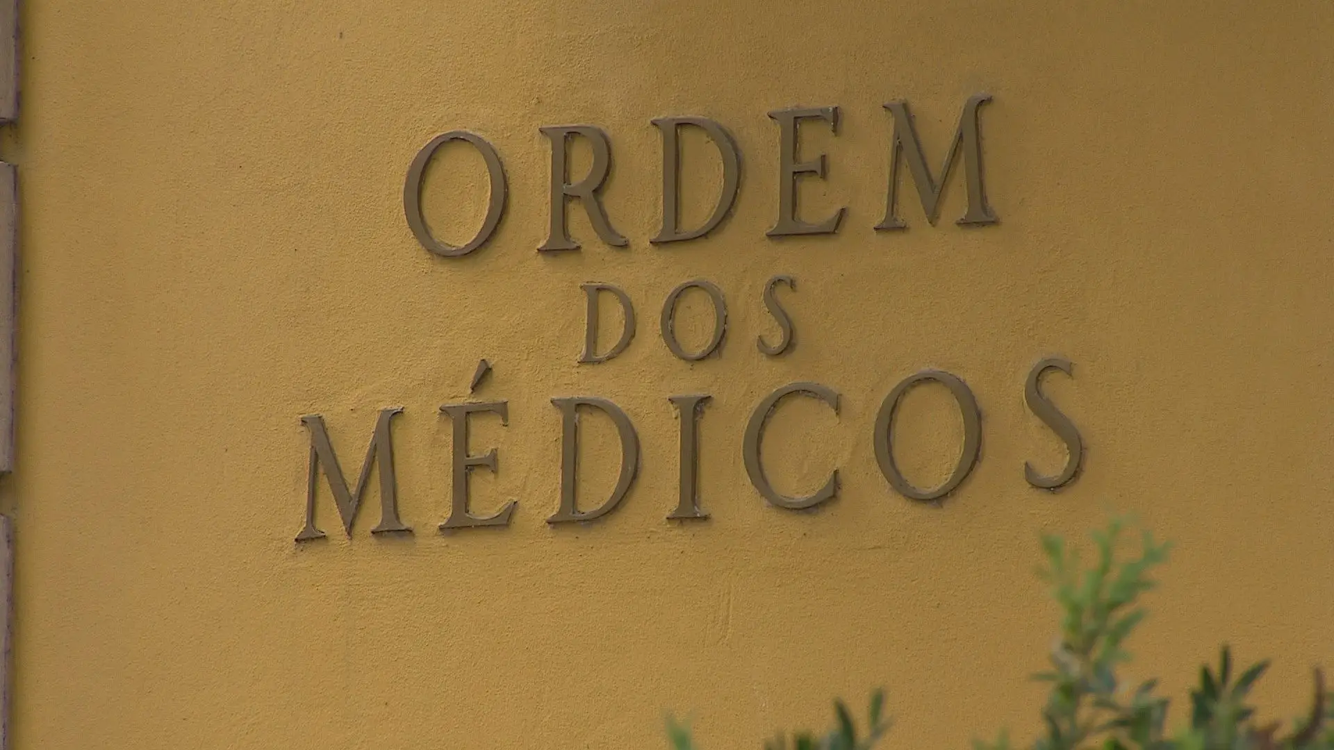 Ordem dos Médicos recomenda criação de linha de financiamento para coronavírus