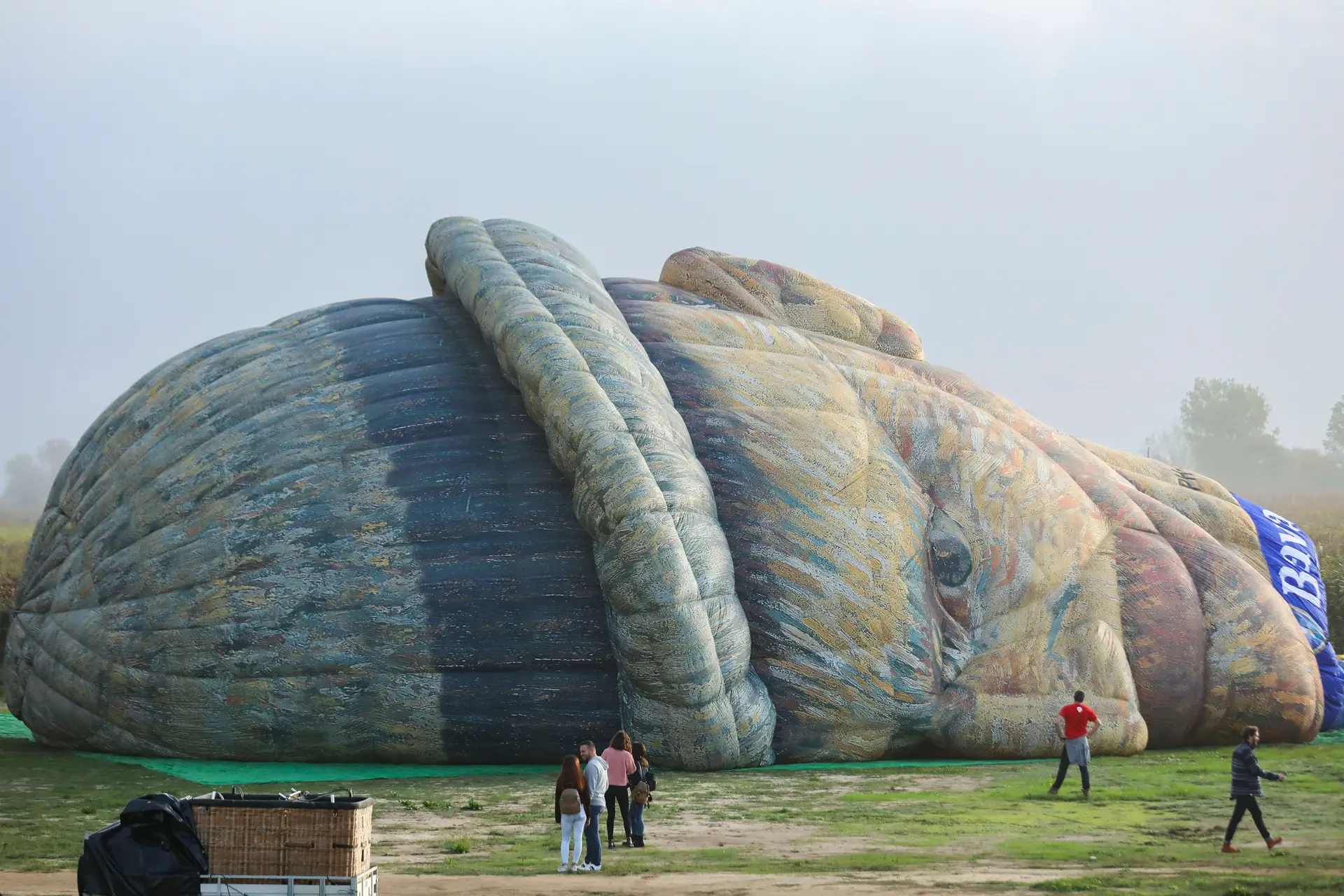 O principal problema deste festival passa pelo tempo. Só se as condições meteorológicas e de segurança estiverem garantidas é que poderão realizar-se as atividades aéreas - voos de balão de ar quente, balões de ar quente estáticos e a Night Glow