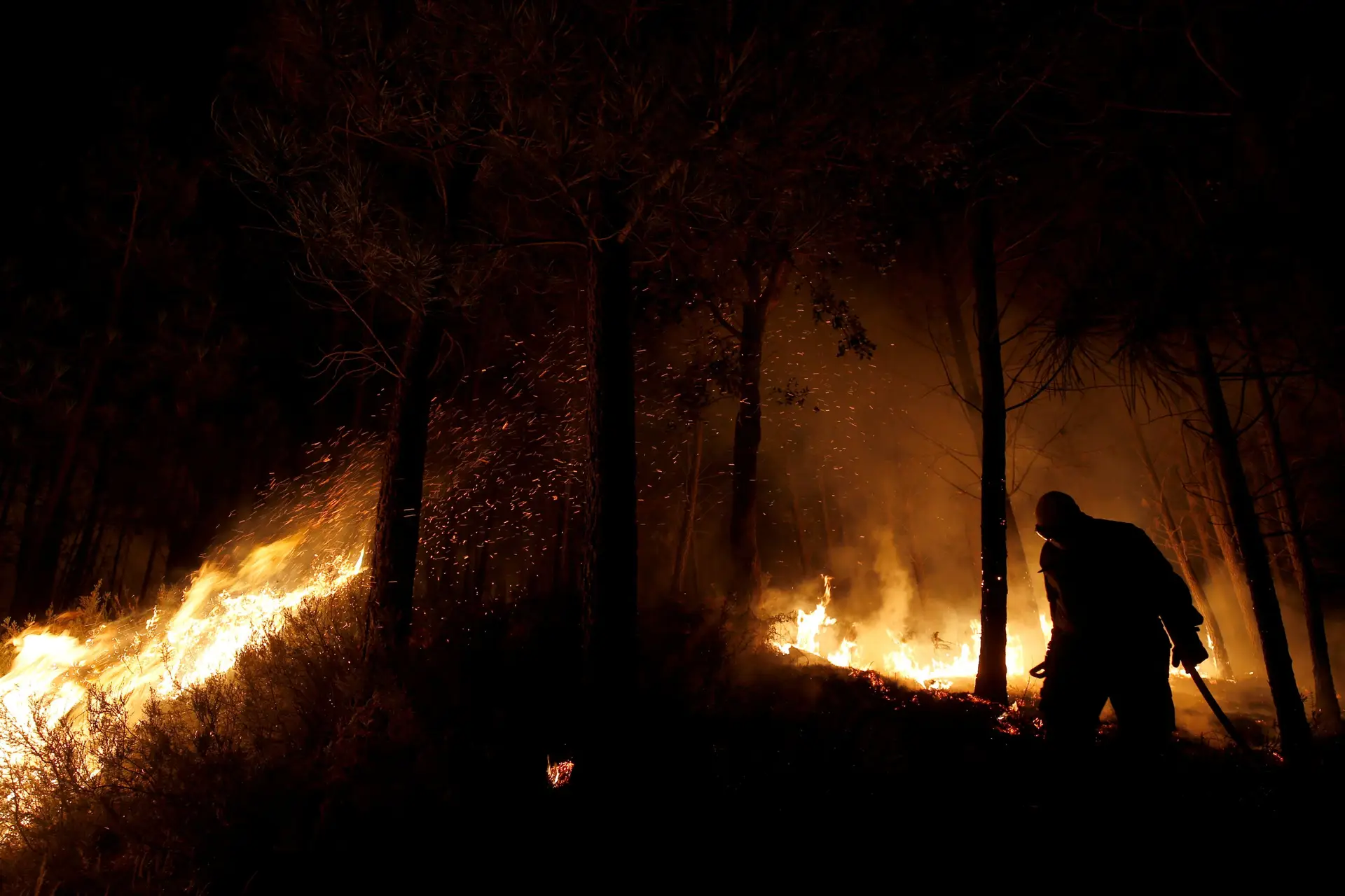 Incêndio de Odemira pode chegar a Silves