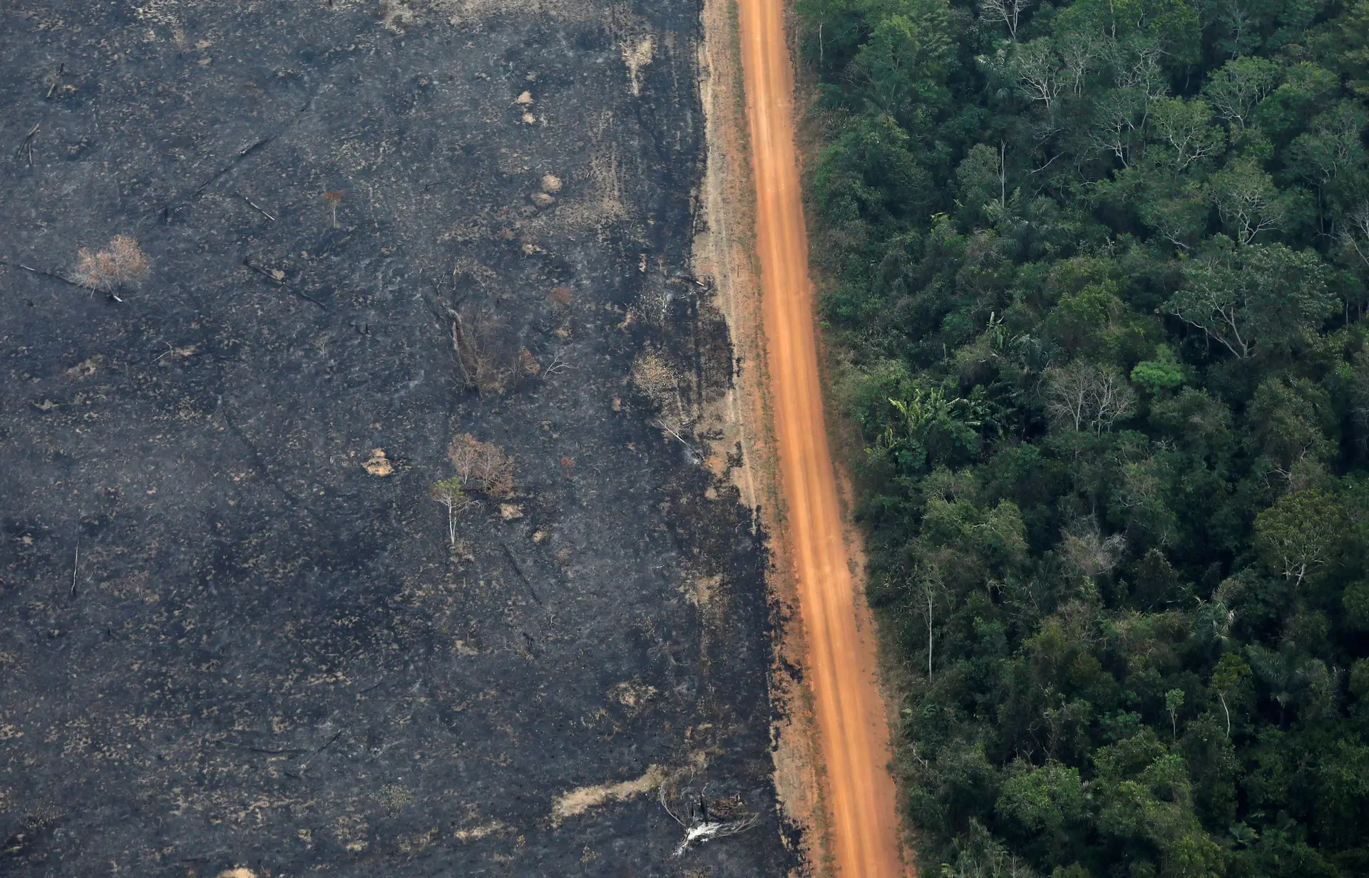 Amazónia registou o outubro com menos incêndios desde 1998