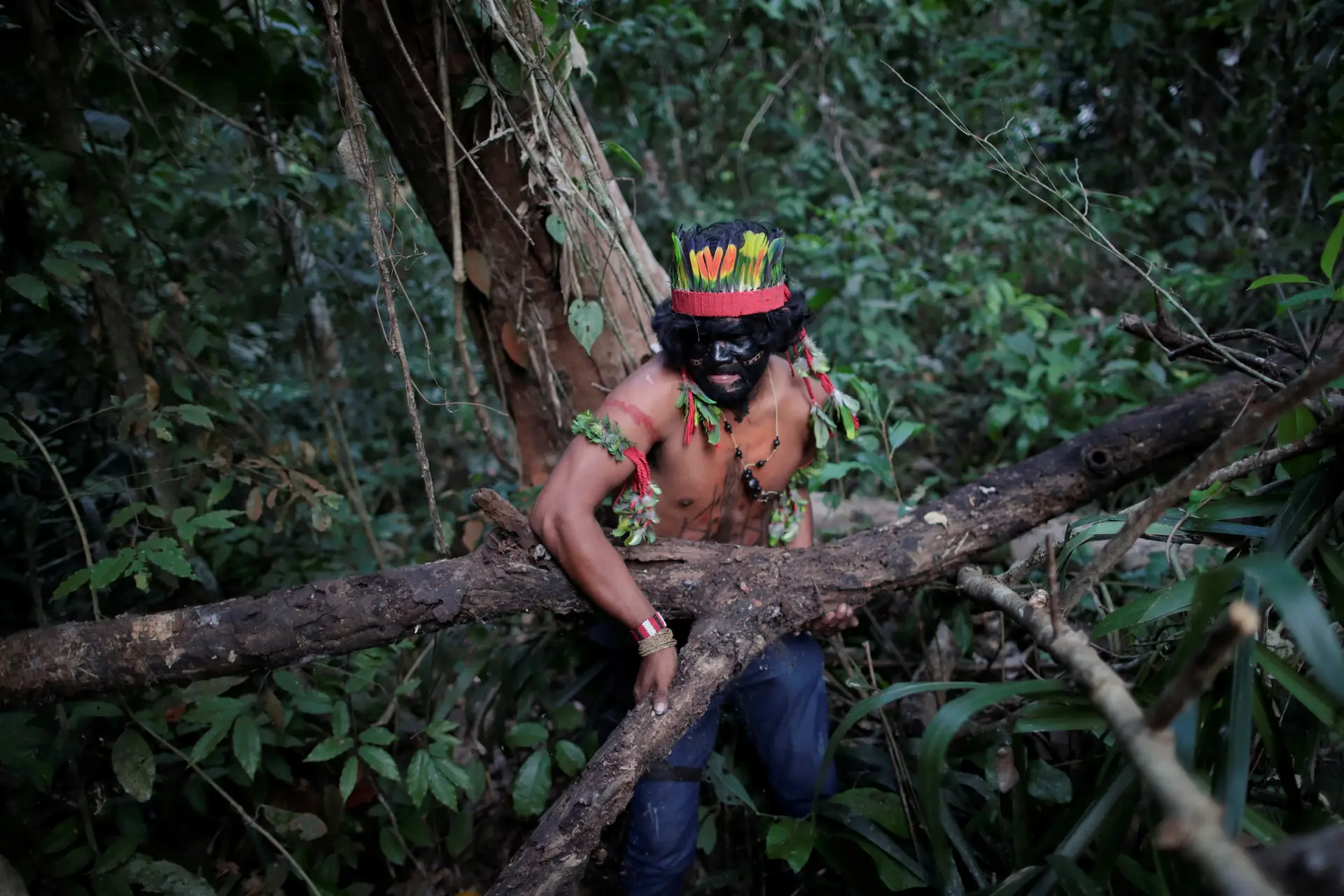 Elemento dos "Guardiões da Floresta"