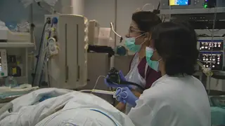 Cancro do intestino é um dos que mais mortes provoca em Portugal