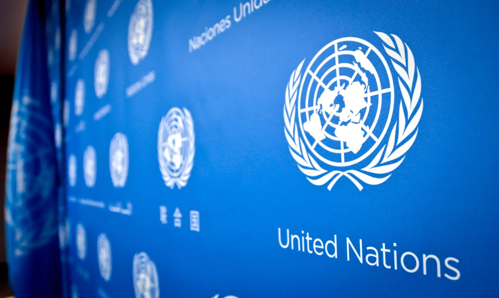 ONU defende proibição de repatriamento forçado de afegãos