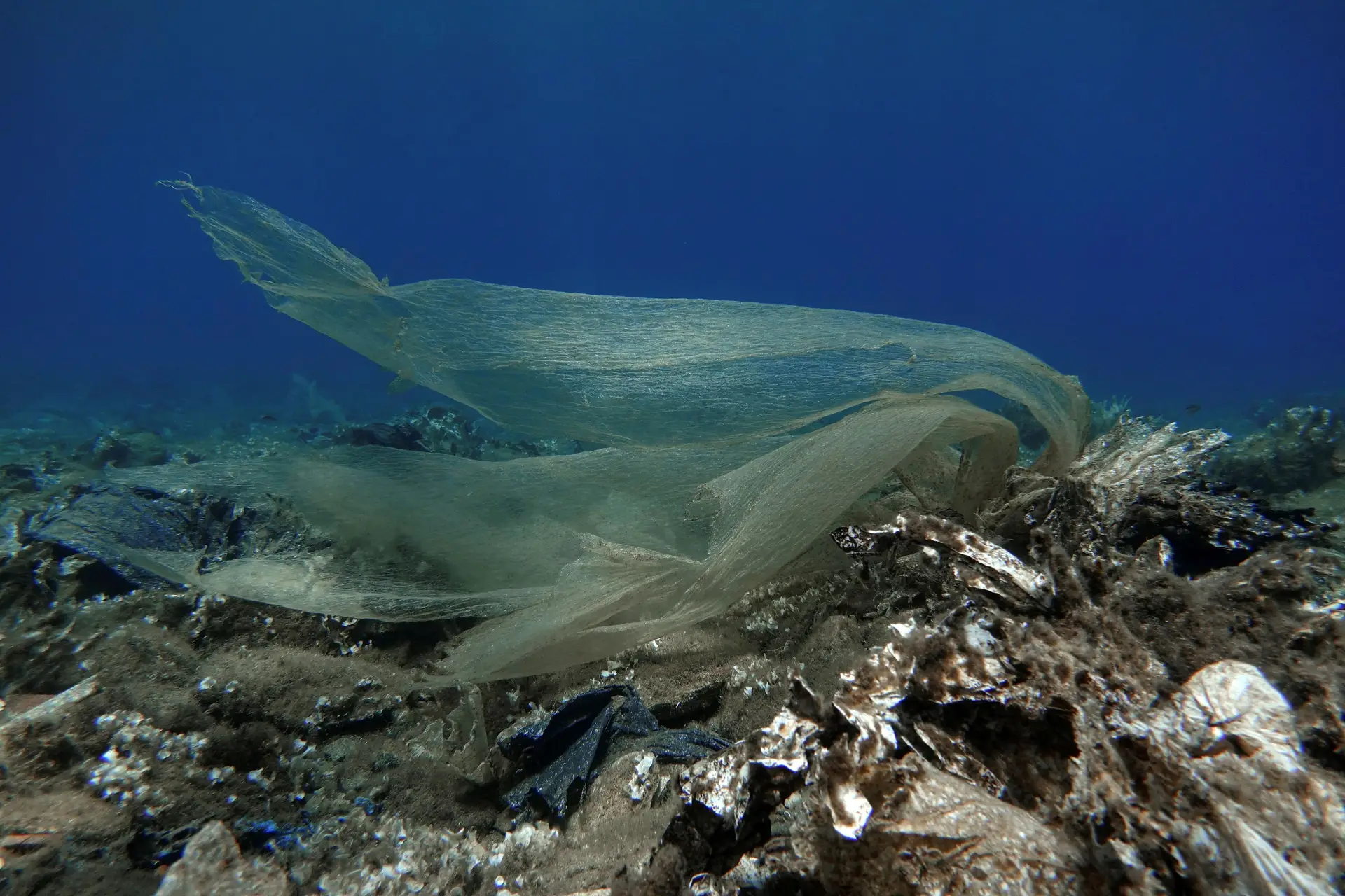 Material de pesca representa mais de 85% do lixo de plástico no mar