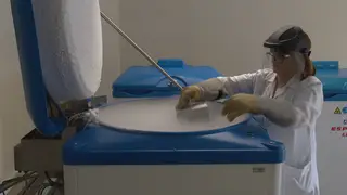 Células Cart-T: o tratamento inovador que "dá sinais de cura" de cancro terminal no IPO do Porto