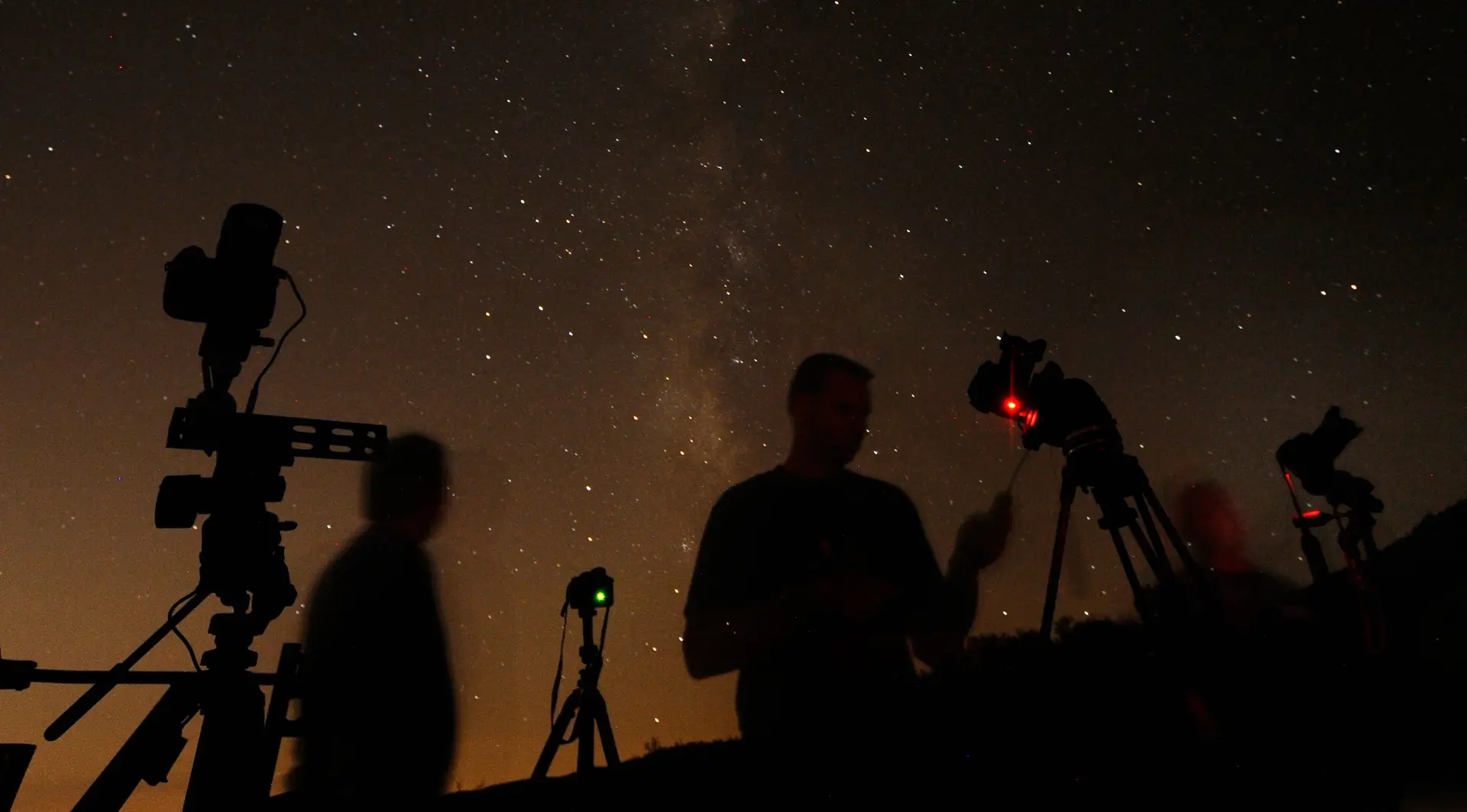 Espécie "rara" de abutre avistada no concelho de Mogadouro