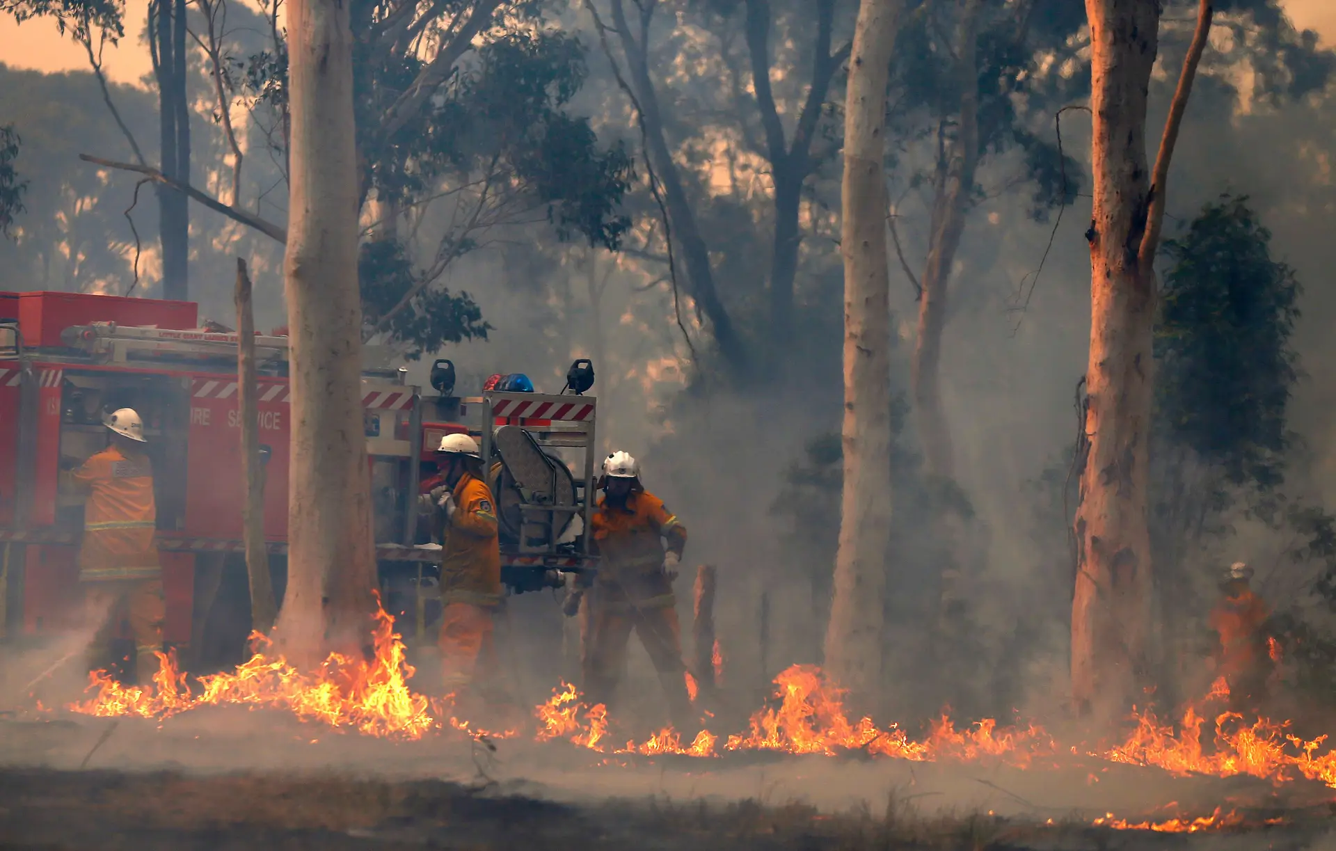 Temperatura, seca e vento forte dificultam combate aos incêndios na Austrália