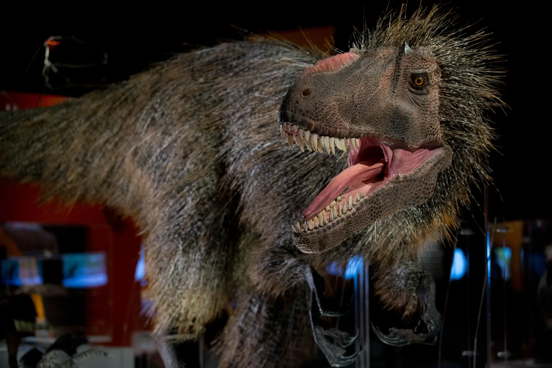 Dinossauros com "penas fofas" viveram no Polo Sul