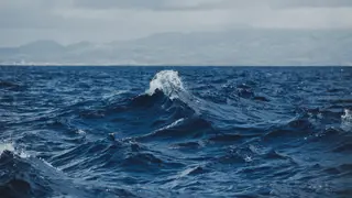 “Sempre que vejo o mar, regresso a esse dia”