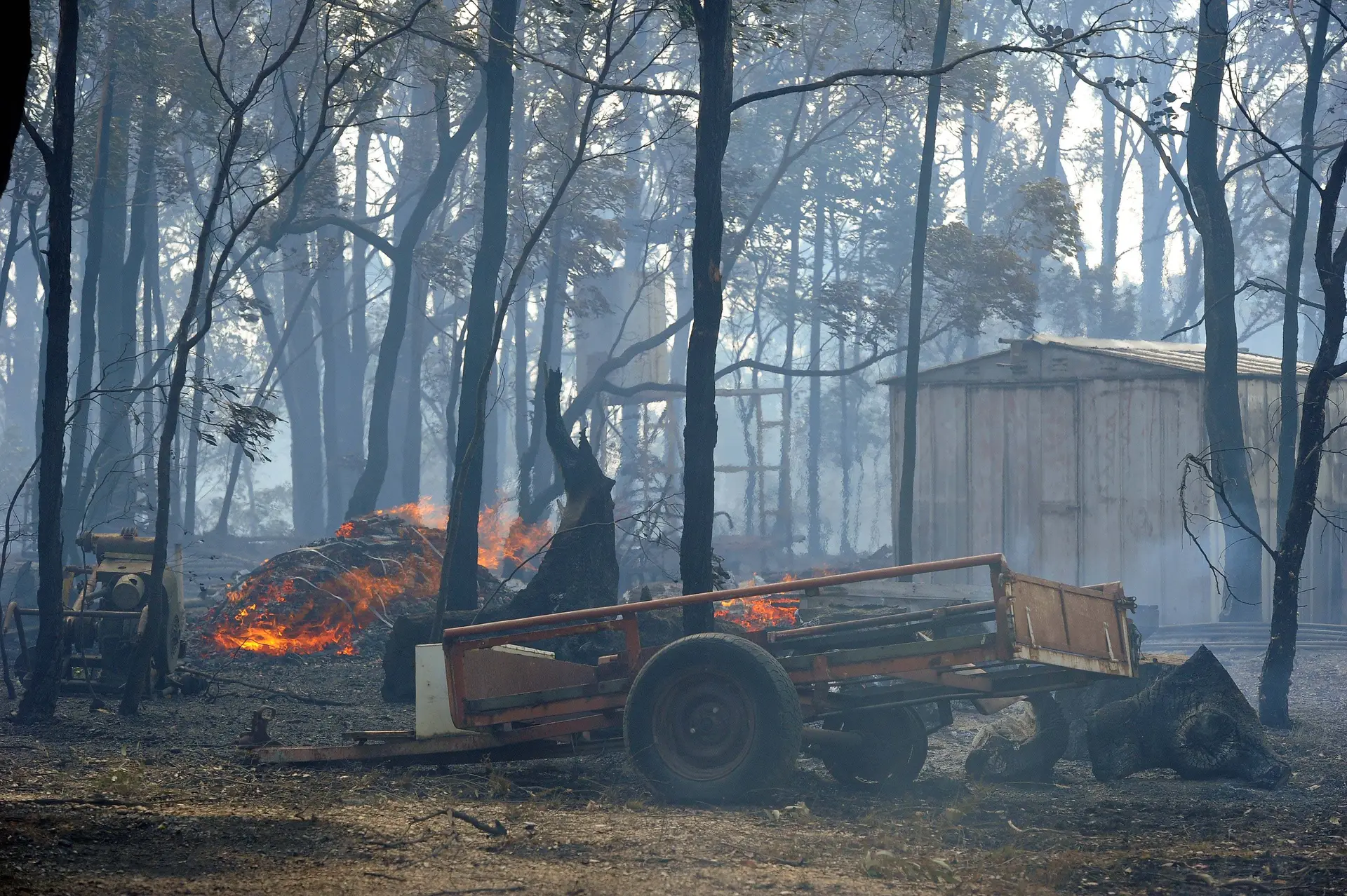 PM da Austrália rejeita acusações sobre erros nas medidas contra os incêndios