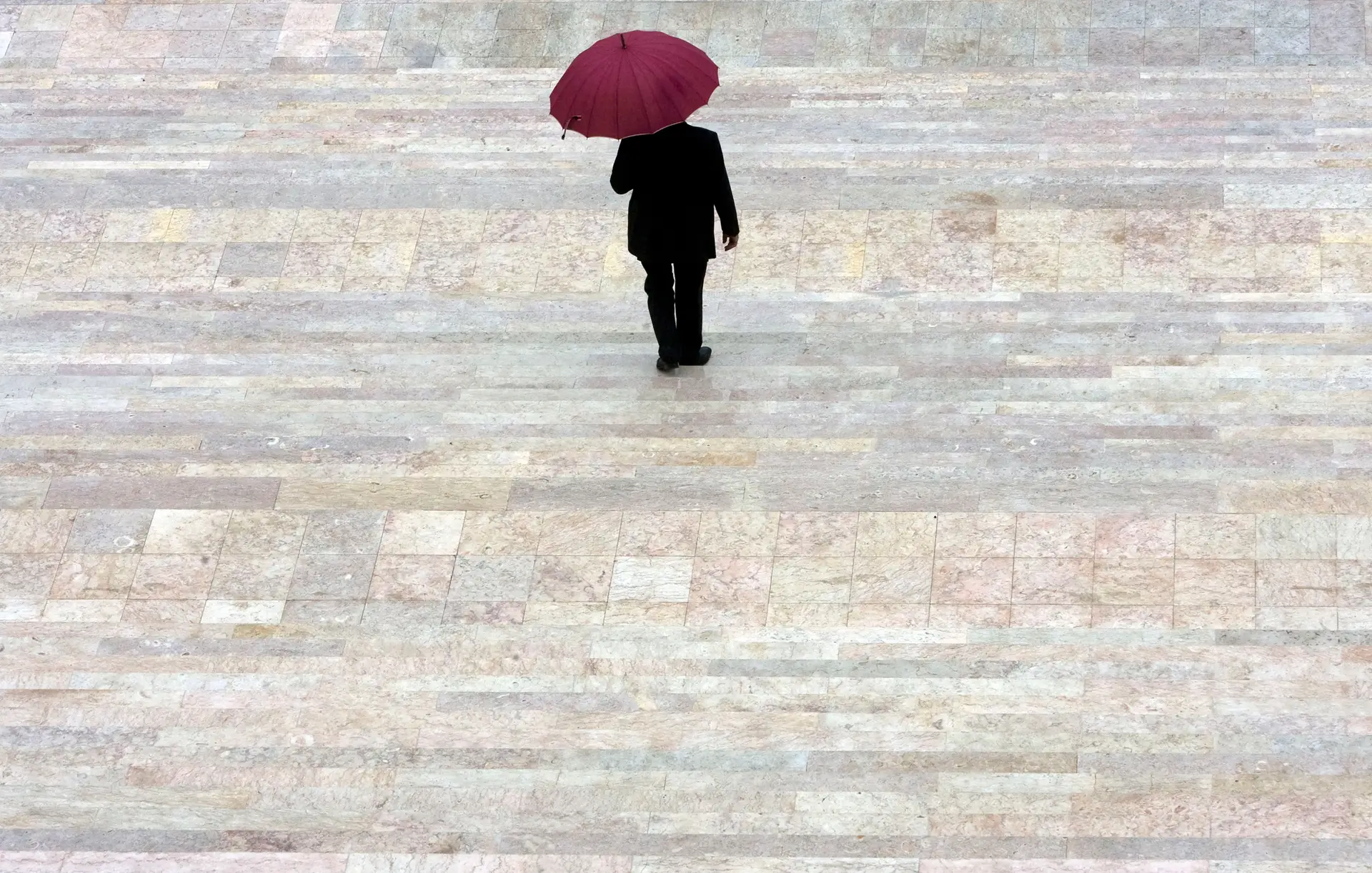 Queda de árvore devido ao temporal obriga a realojar duas pessoas em Leiria
