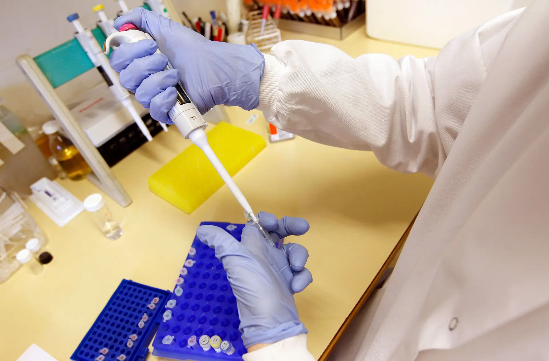 Cientistas descobrem como enfraquecer geneticamente bactérias que causam infeções