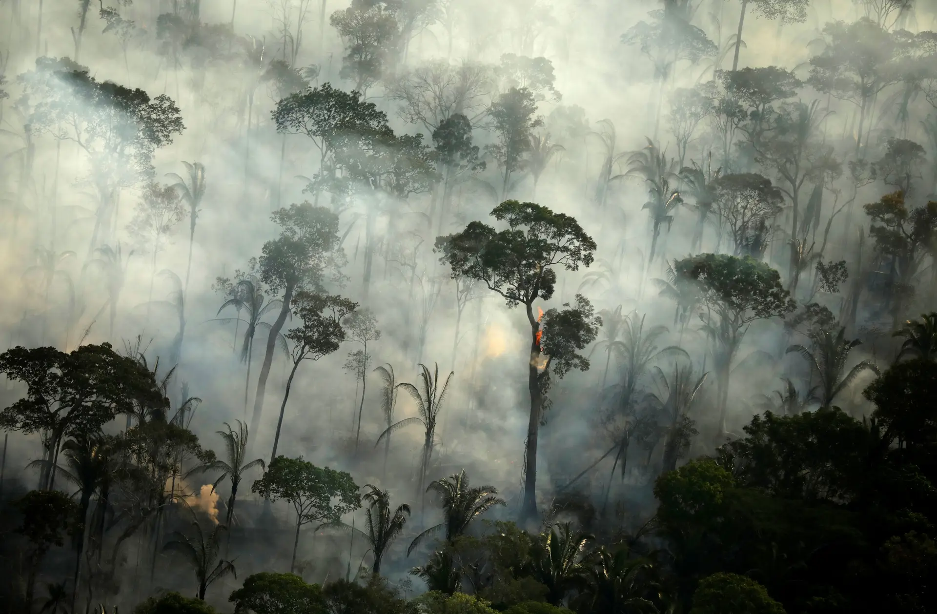 Os incêndios na Floresta Amazónia, em Porto Velho, Brasil.