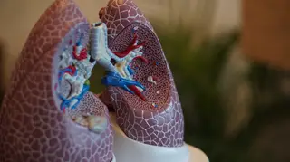 Cancro do pulmão: Há um número para o qual pode ligar