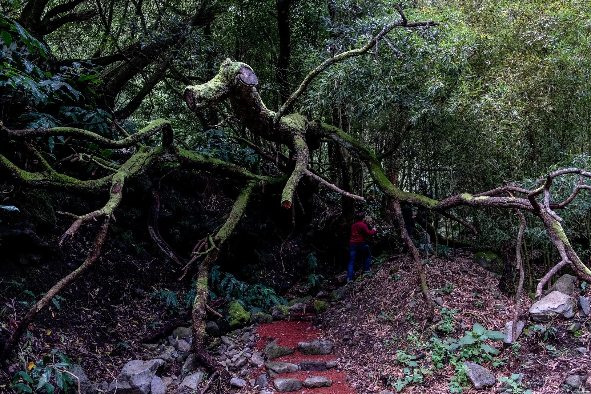19 ocorrências na noite e manhã de mau tempo nos Açores
