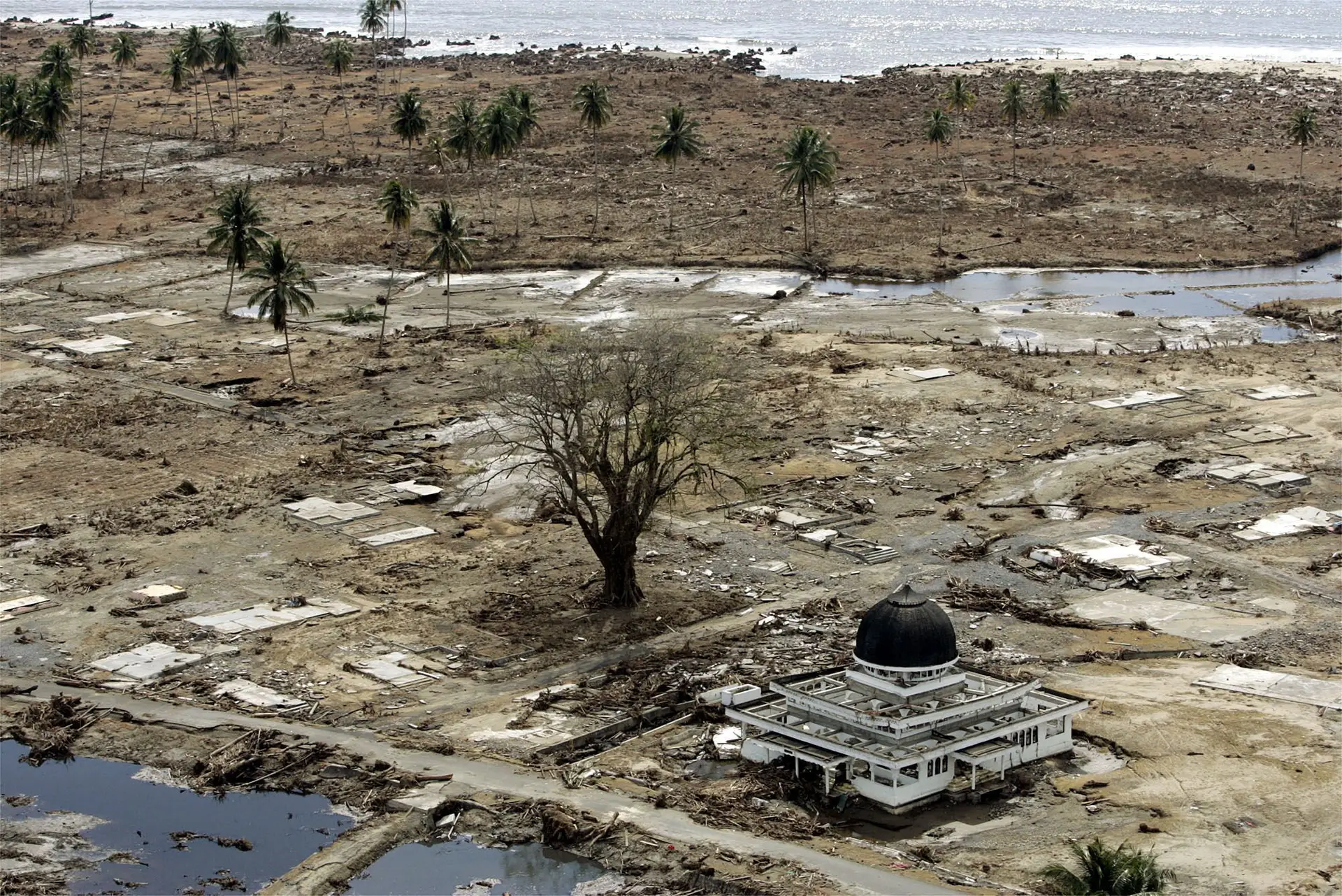 Faz hoje 15 anos que o sudeste asiático foi varrido por uma das piores catástrofes naturais de sempre