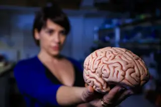Promessas, falhanços e reviravoltas: a investigação à doença de Alzheimer em 2019