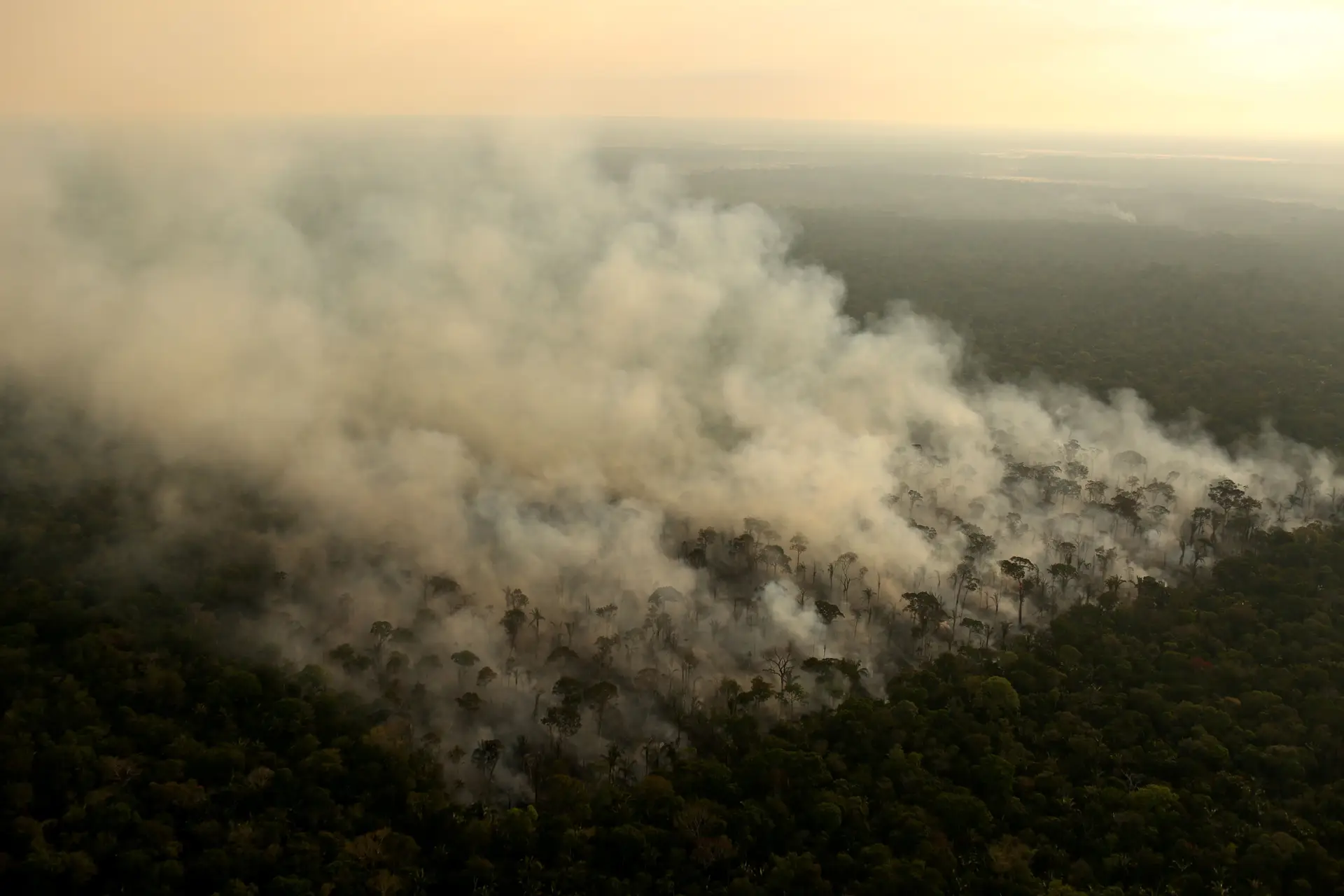 Polos e Amazónia vão ser os mais afetados pelo aumento da temperatura