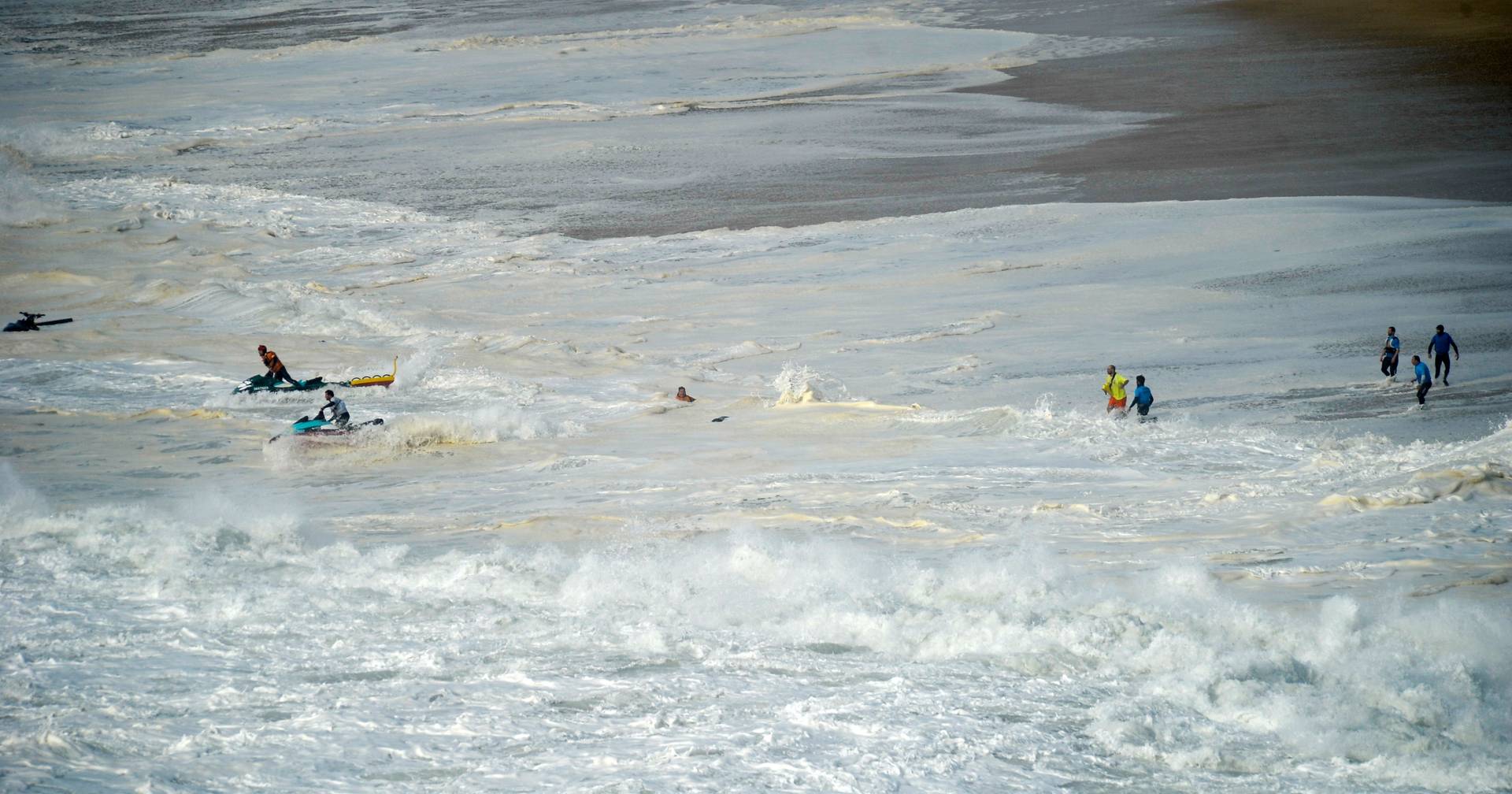 Tubarão-azul ataca pescador em Vila do Conde - SIC Notícias