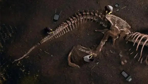 Rara doença infantil descoberta em fóssil de dinossauro com 66 milhões de anos