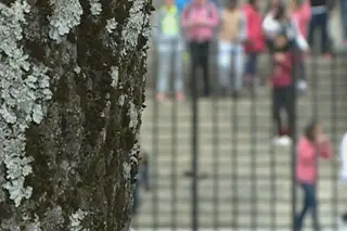 Três escolas privadas no Algarve suspendem aulas