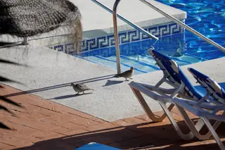 Pais de 10 mil alunos pedem intervenção do Governo após agência recusar cancelar viagem de finalistas