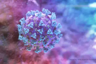 Mitos e conselhos sobre a Covid-19 que os peritos aconselham não seguir