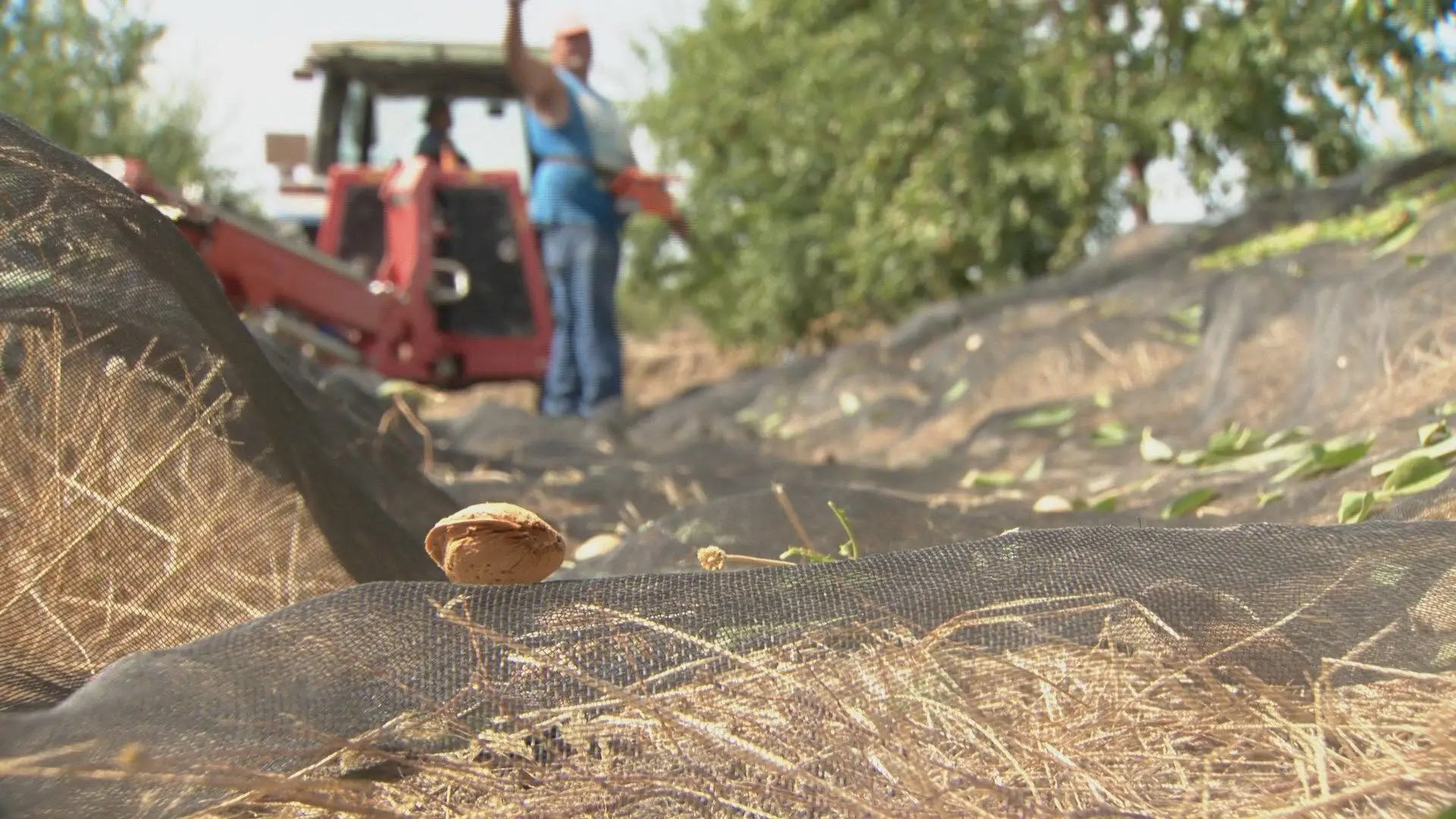 Ministério da Agricultura adianta 60 M€ para apoiar empresas afetadas pela Covid-19