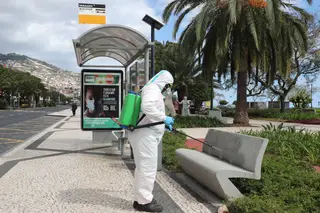 Covid-19: Madeira mantém sete casos ativos e 83 recuperados